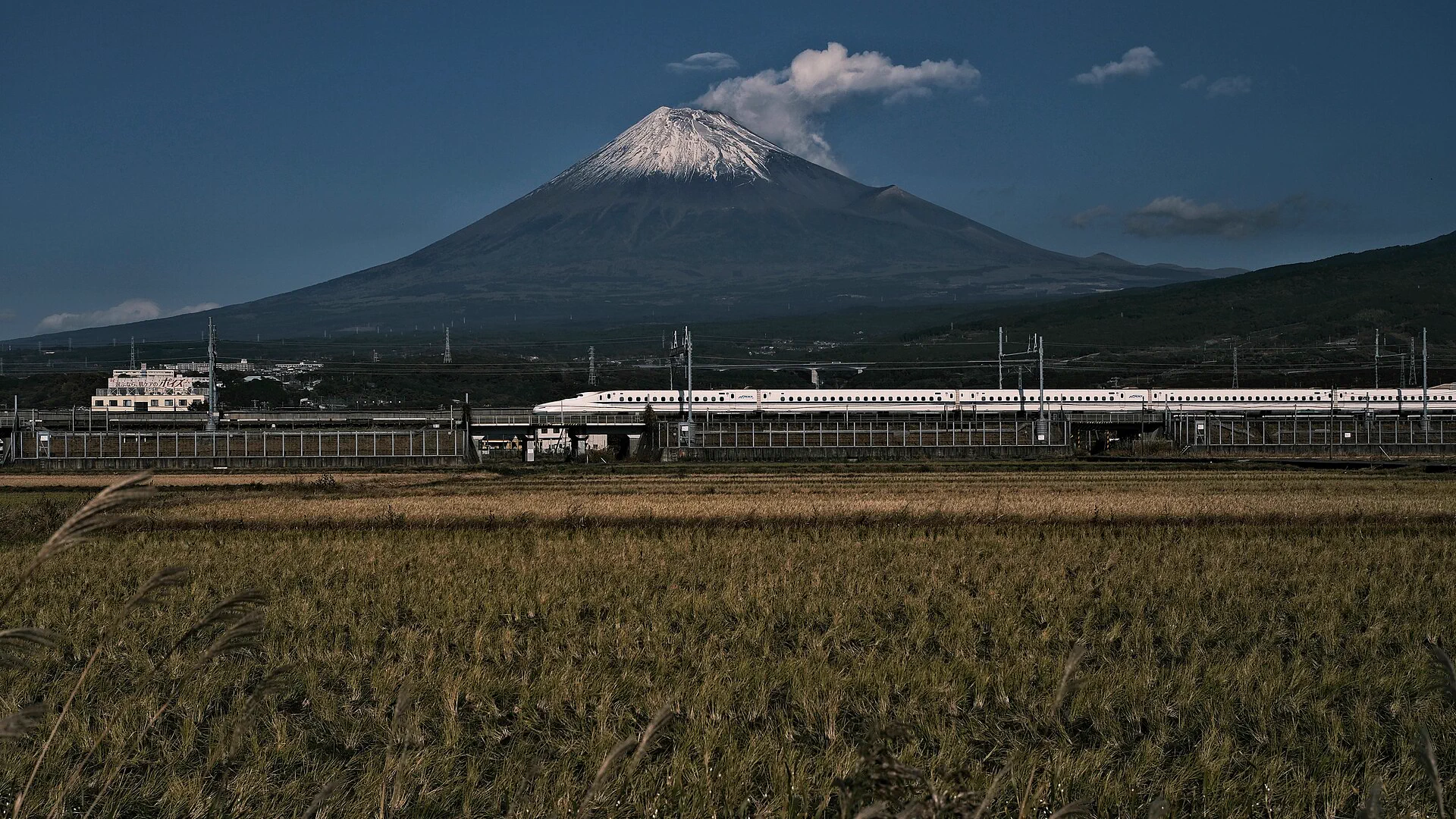 Réserver le shinkansen pendant l’Obon 2026 : Nozomi, bagages et plans B