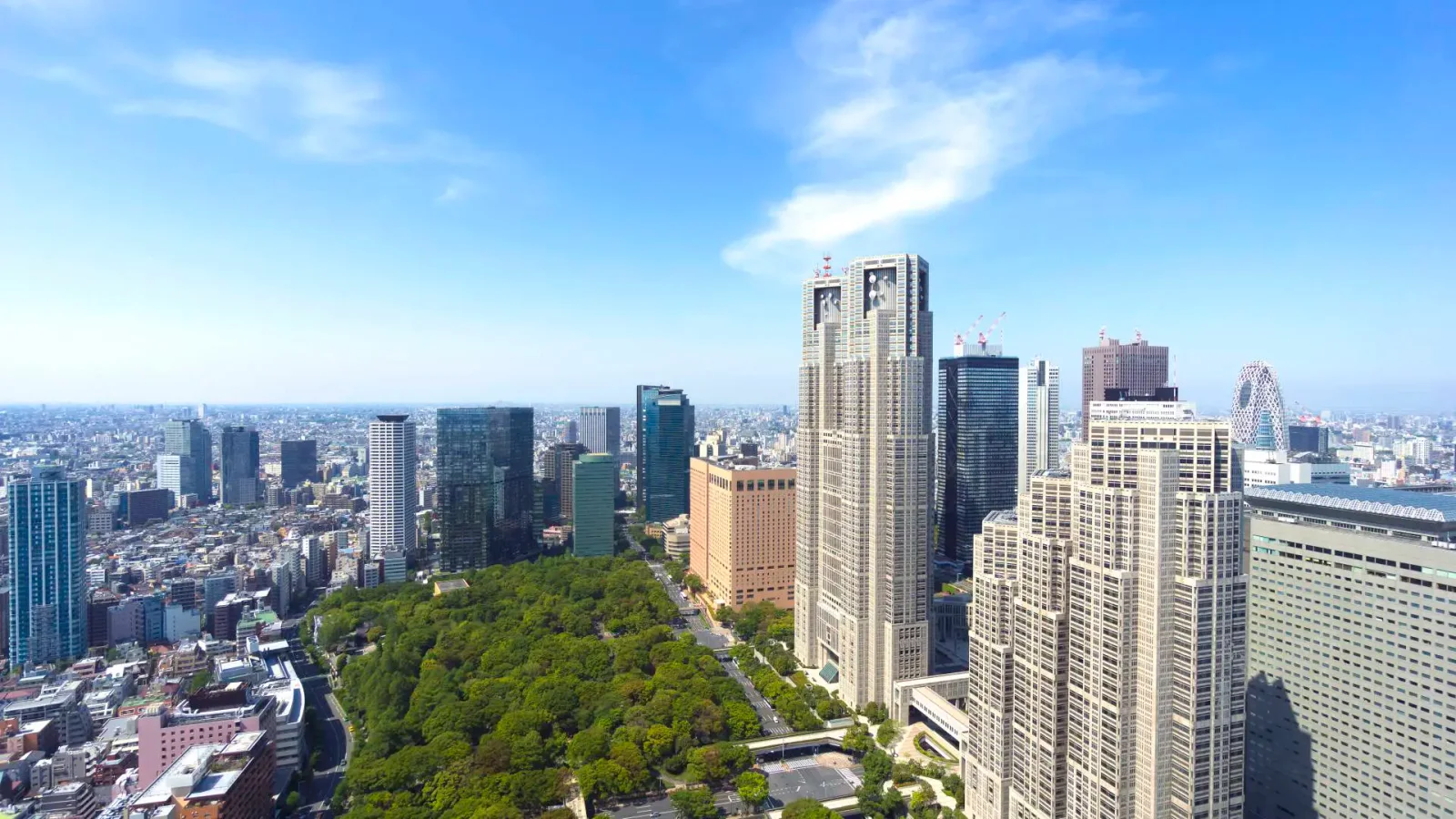 Tokyo et ses quartiers vus depuis un point d’observation