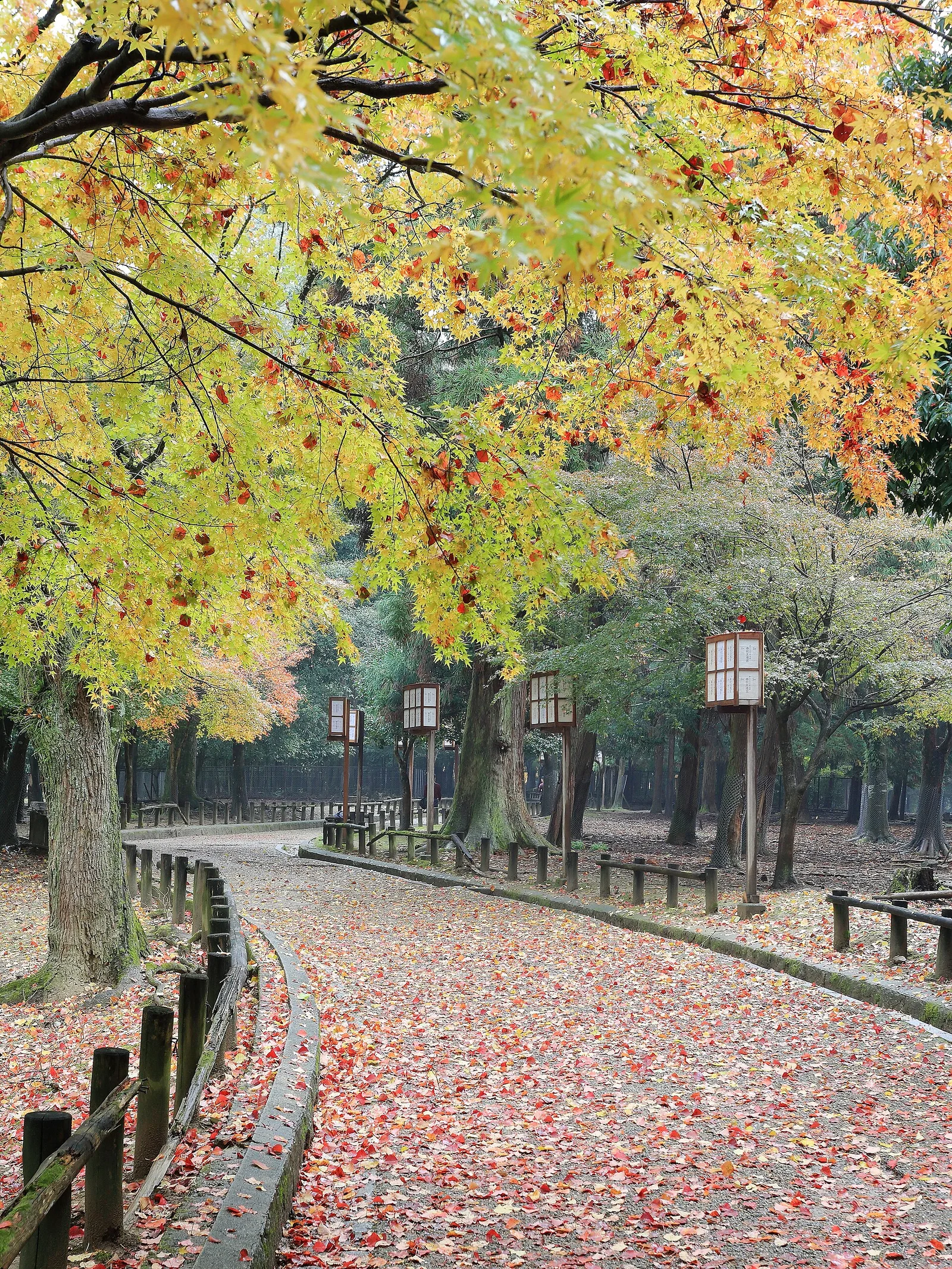 Rue traditionnelle de la vallée de Kiso au Japon