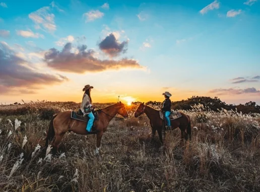 Promenade à cheval dans les prairies d’Aso
