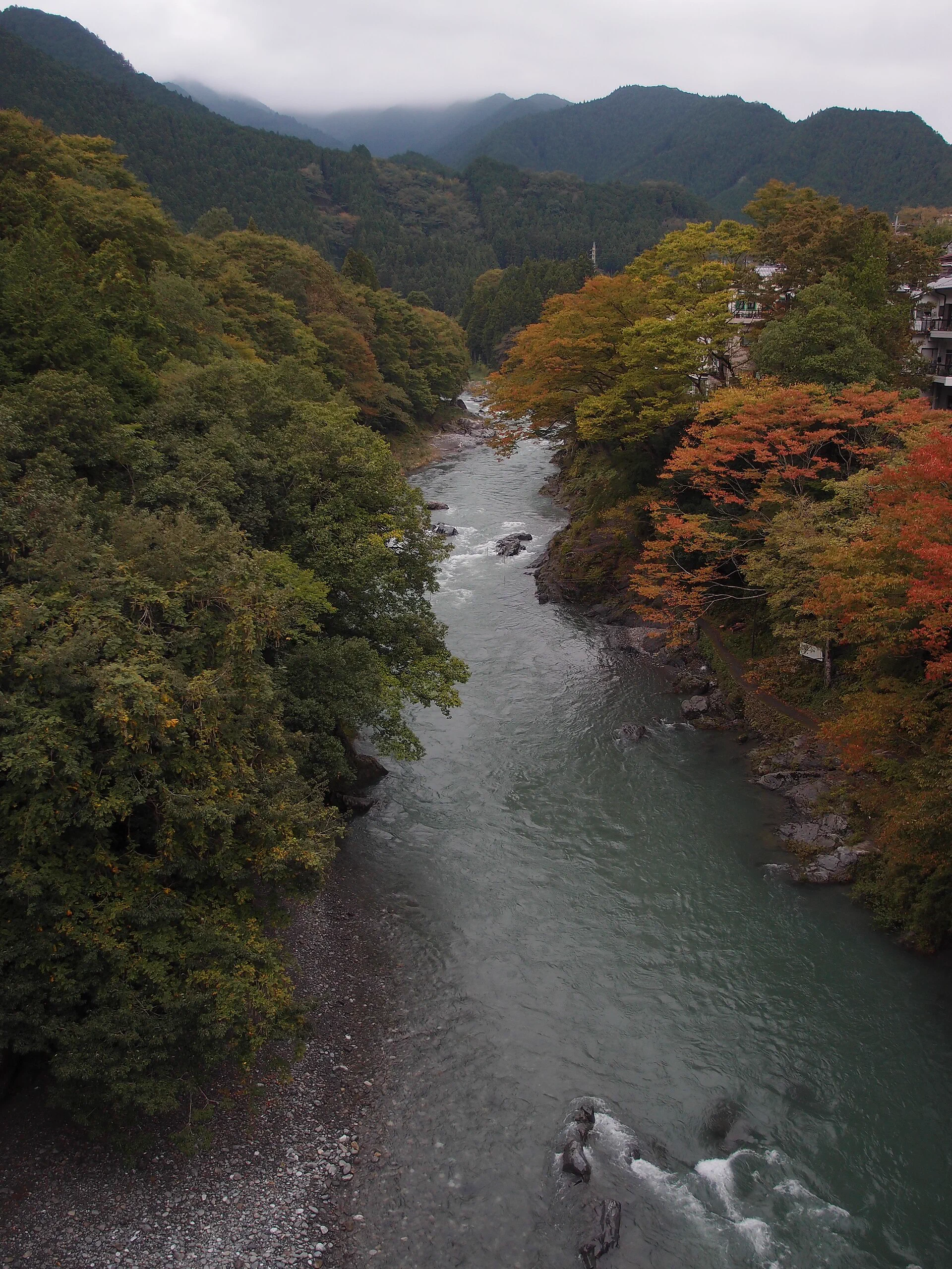 Guide d'automne à Odmato : Vallée de Mitake, lac d'Odmato, transports et itinéraires sans voiture
