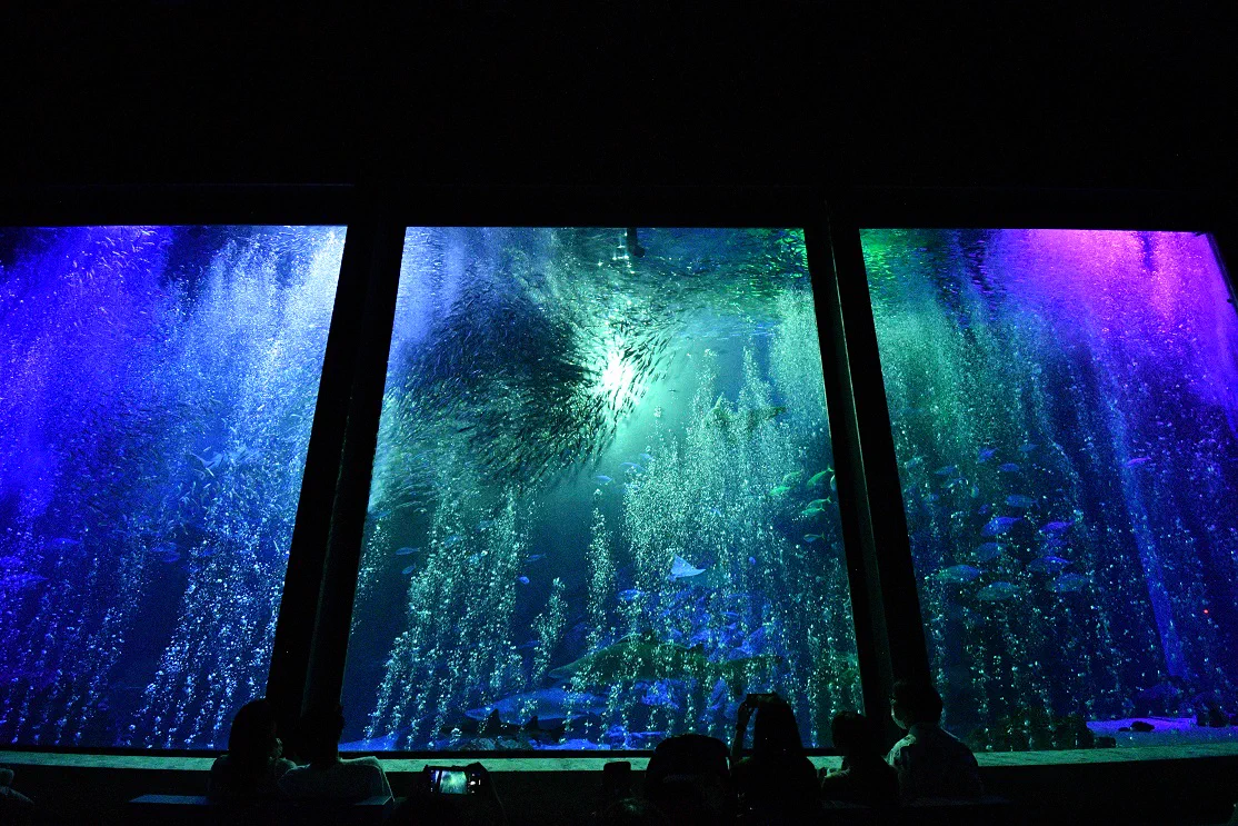 Marine World Uminonakamichi vaut-il le coup à Fukuoka ? Le vrai coût est une demi-journée