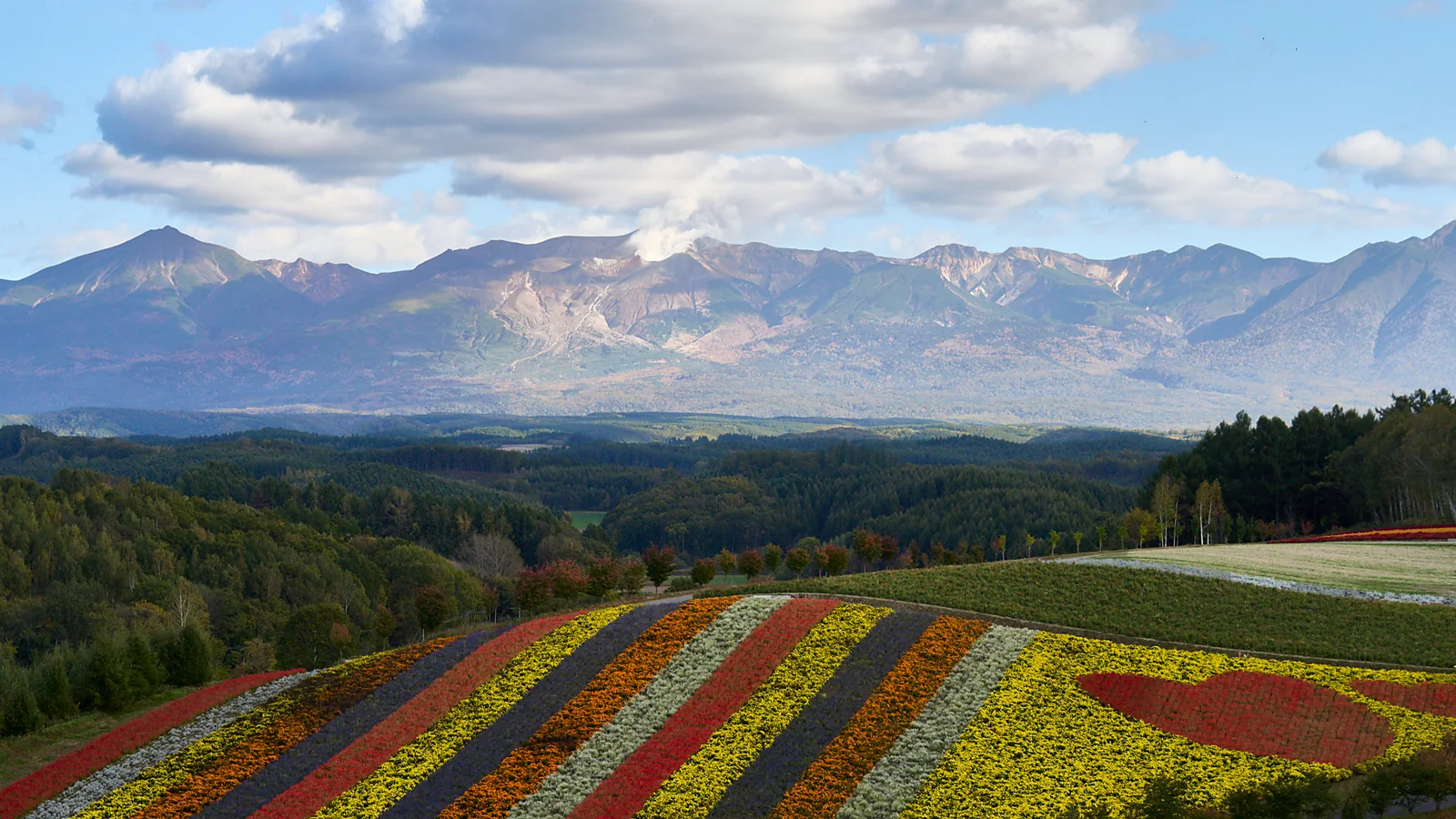Paysages d'automne à Biei et au Daisetsuzan en Hokkaido en octobre, avec des températures matinales et nocturnes à Sapporo d'environ 8°C en moyenne