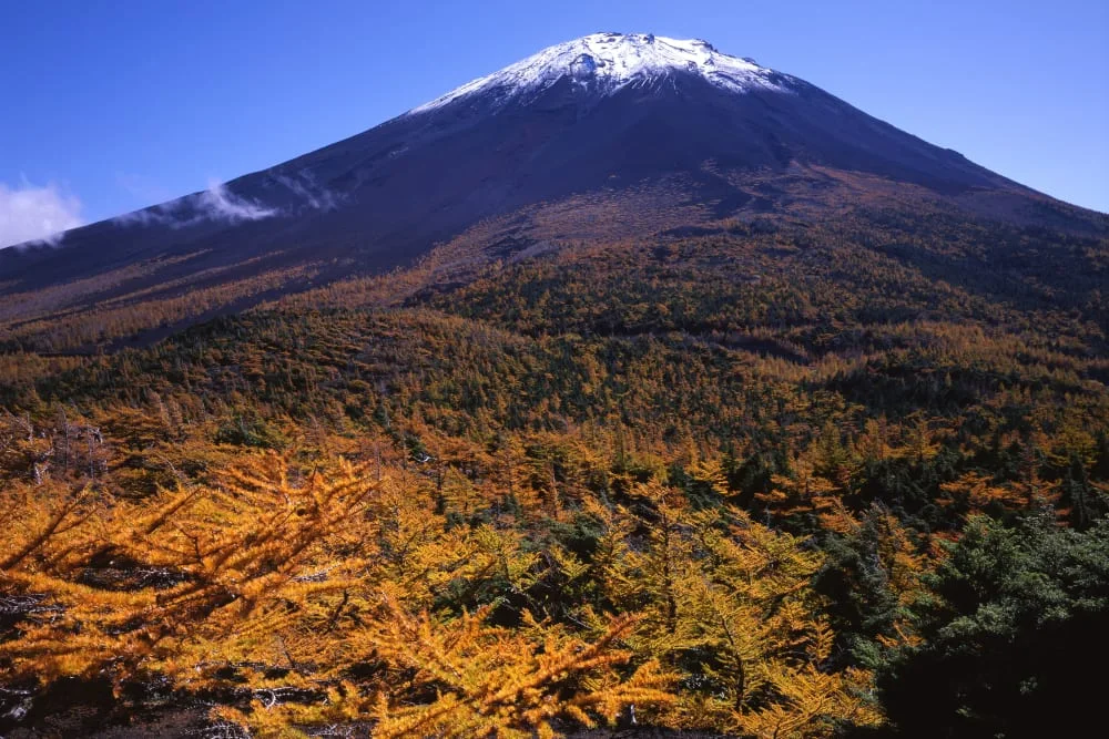 Mont Fuji au-dessus du paysage de Yamanashi pour un itinéraire d’une nuit