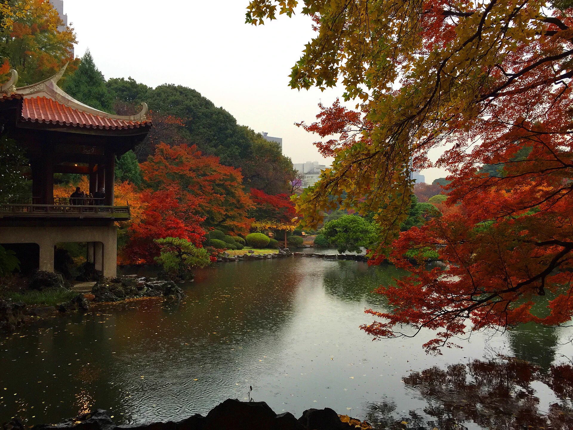 Tokyo autumn leaves day trip by train: Shinjuku Gyoen, Koishikawa, Showa Kinen Park and Rikugien