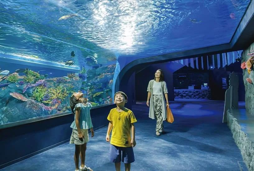 DMM Kariyushi Aquarium, activité couverte pour une journée pluvieuse à Okinawa