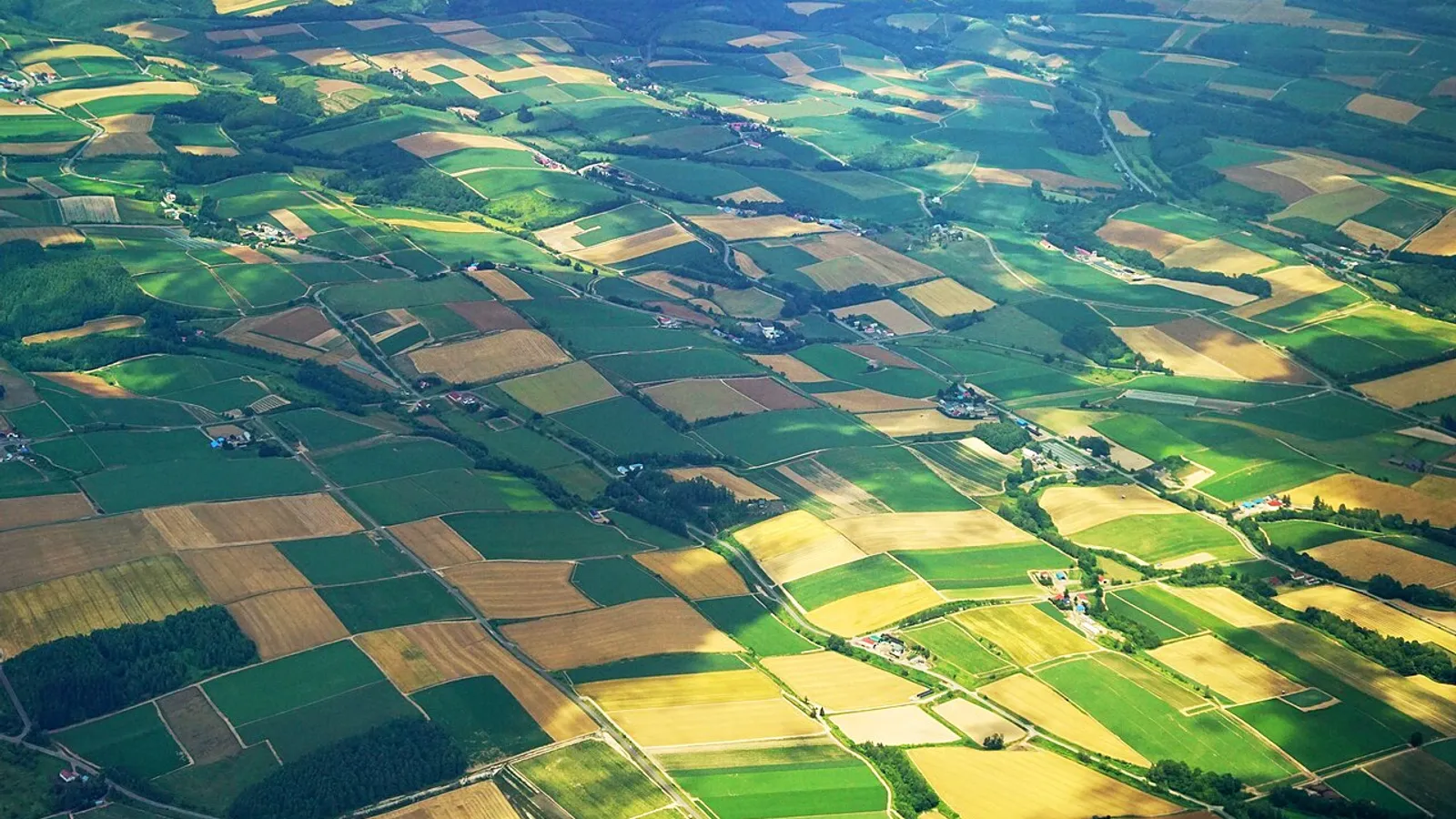 Biei en une journée ou avec une nuit sur place ? Quand dormir à Biei vaut vraiment le coup