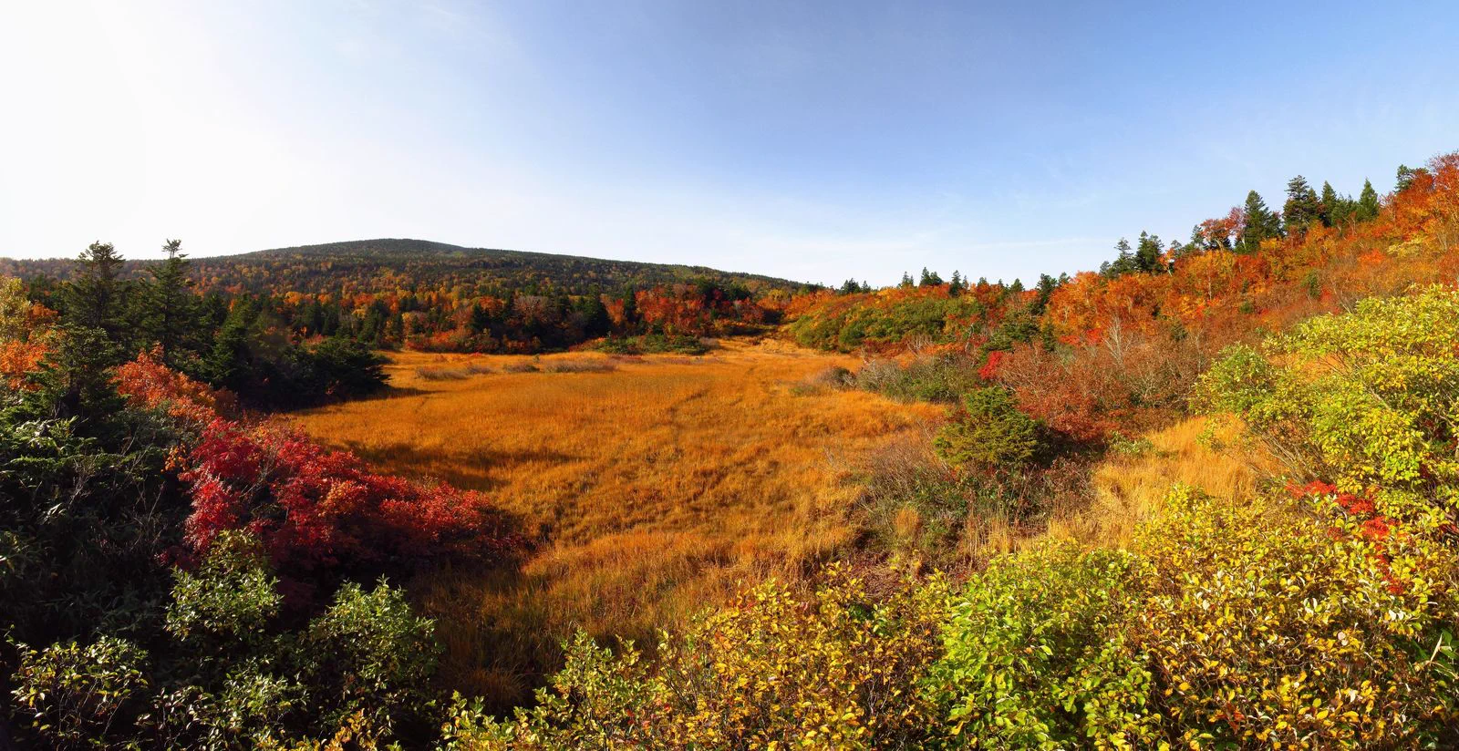 Où dormir dans le Tohoku pour les couleurs d’automne : Sendai, Morioka, Aomori ou Hachinohe ?