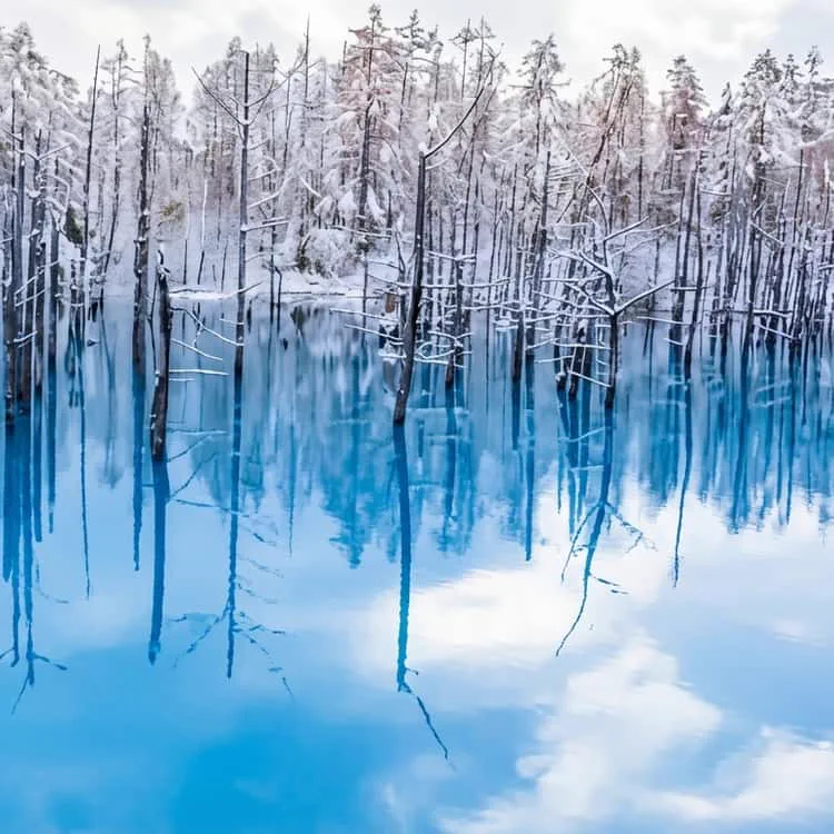 Furano ou Biei en hiver : où dormir pour le ski, le Blue Pond et les paysages enneigés ?