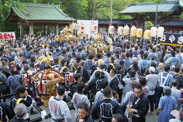 Images de plusieurs mikoshi et de la foule lors de la grande fête du sanctuaire Nezu, rassemblés dans l'enceinte du sanctuaire.