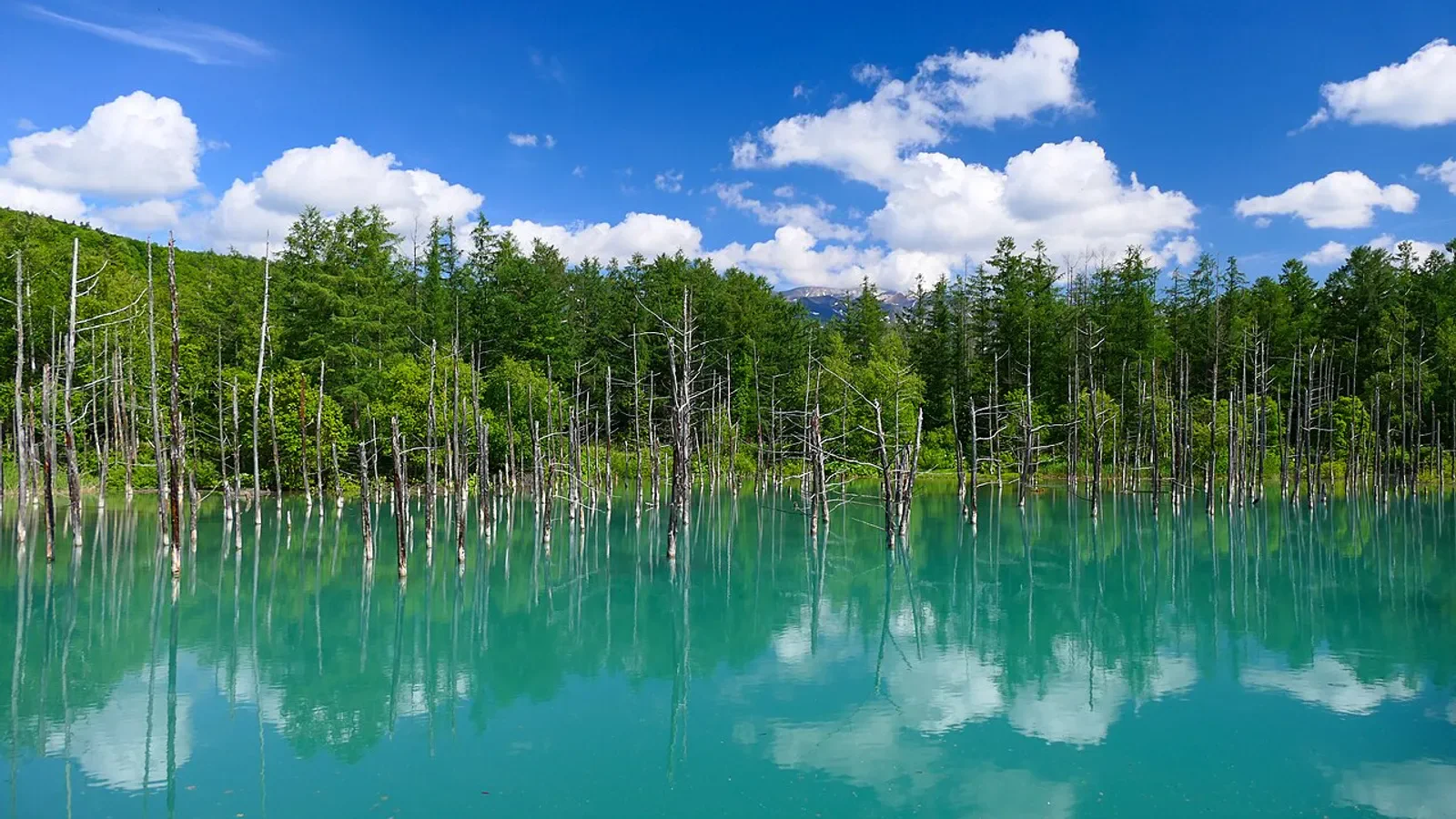 Le Blue Pond fait partie du circuit Biyu 2026 et ne suffit pas à lui seul à justifier une nuit à Biei