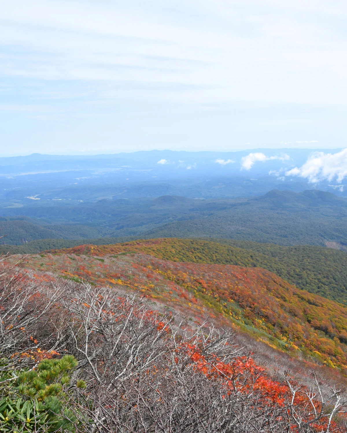 Feuillage d’automne en altitude sur les pentes du mont Kurikoma