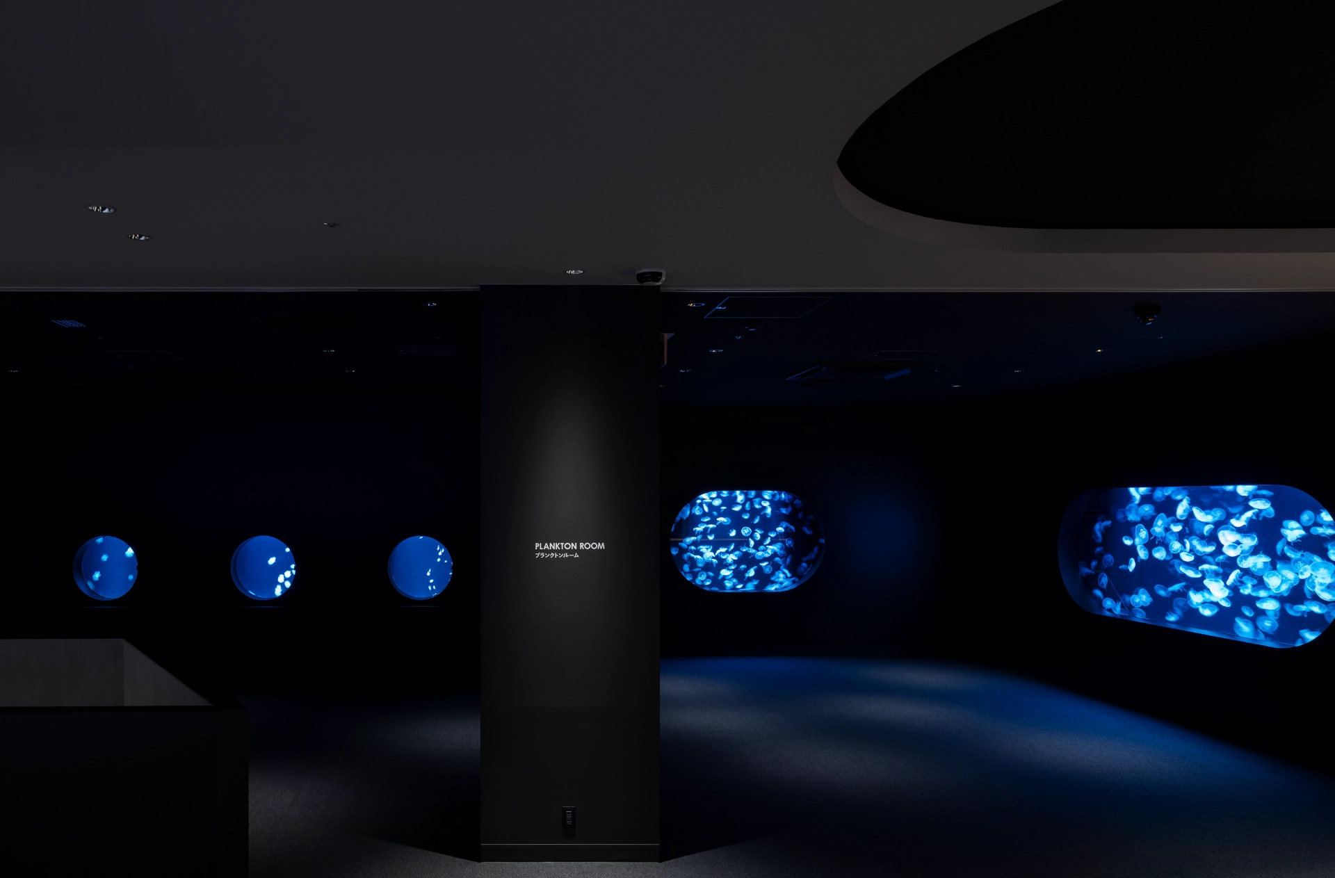 Plankton Room d’AOAO SAPPORO avec méduses et faible éclairage