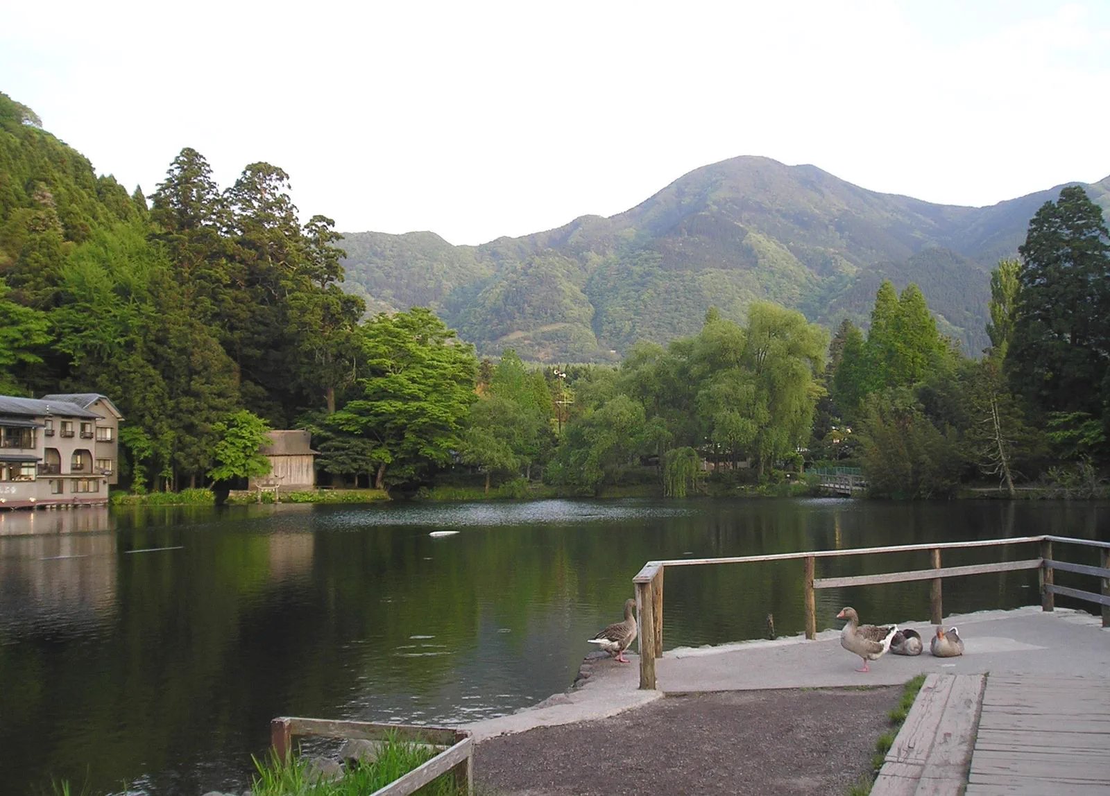 Le paysage automnal du lac Kinrin à Yufuin, représentant la tendance tardive de changement de couleur dans les régions de basse altitude de Kyushu
