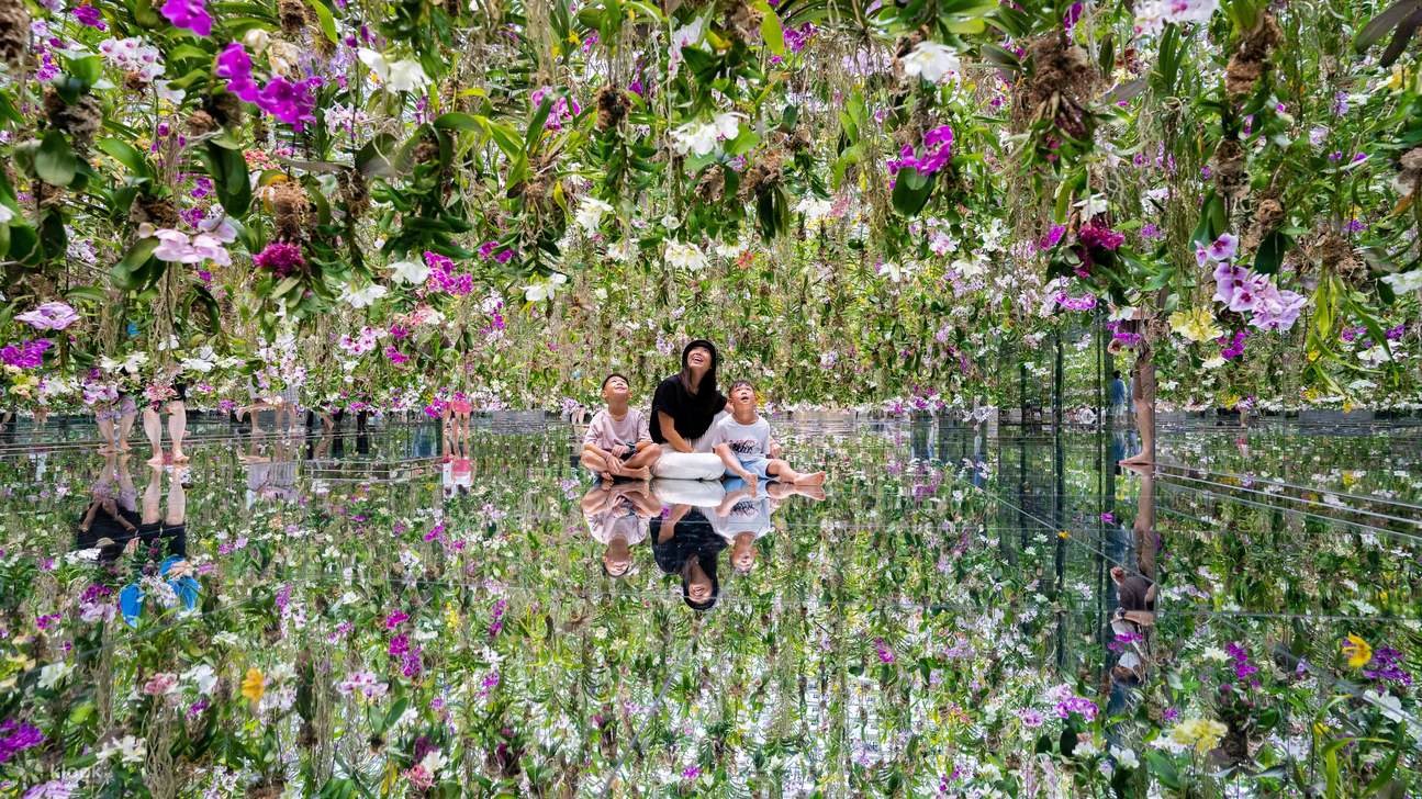 Orchidées suspendues dans Floating Flower Garden à teamLab Planets