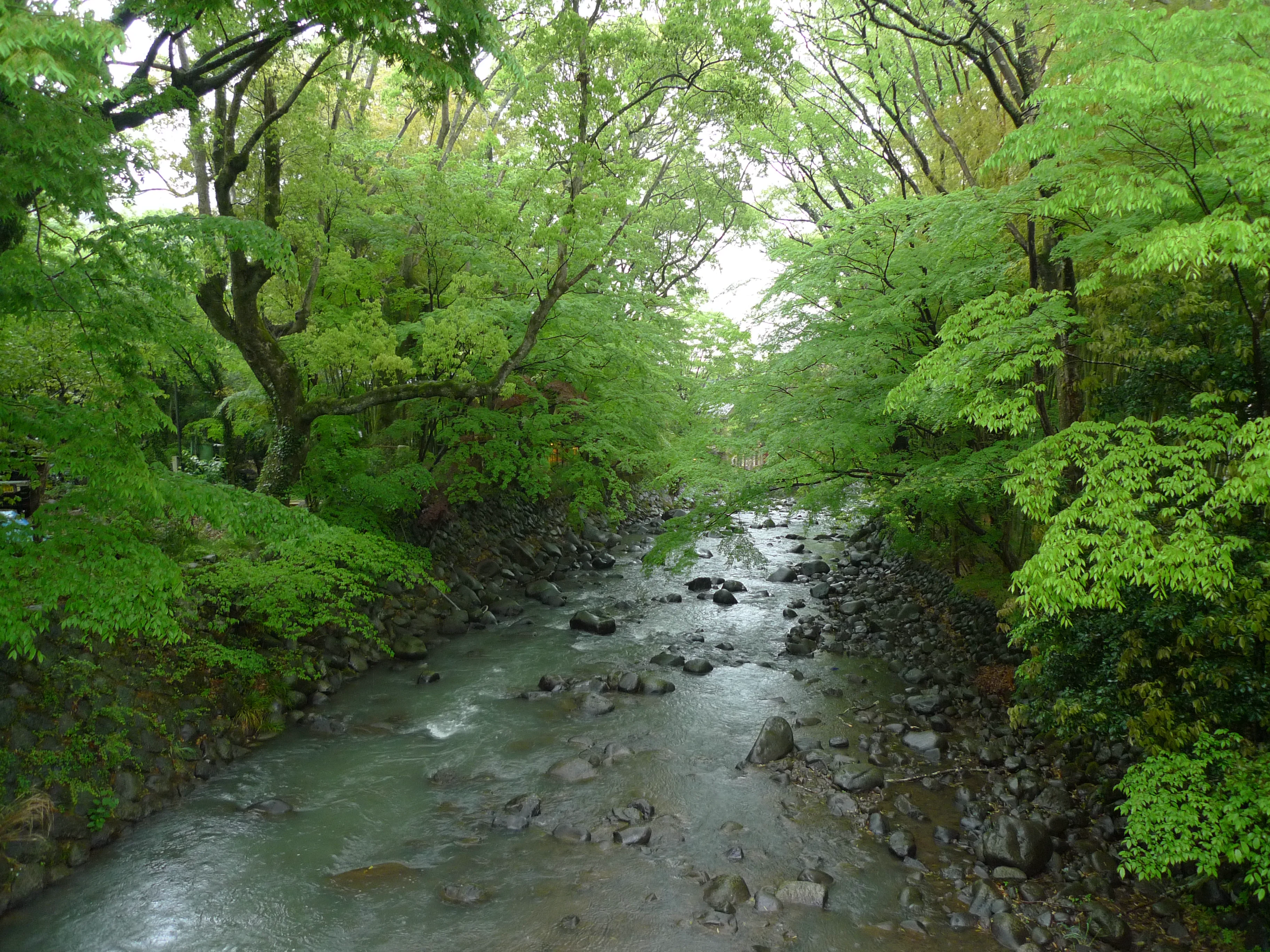 Rivière Katsura à Shuzenji : un ryokan bien placé transforme la soirée en partie intégrante du séjour