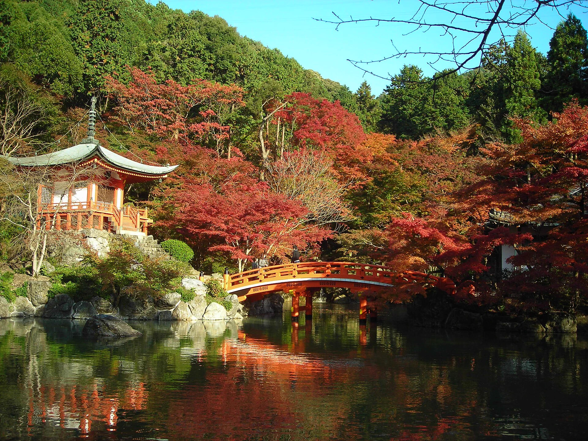 Jardin d’automne de Daigo-ji et couleurs tardives de fin novembre à début décembre