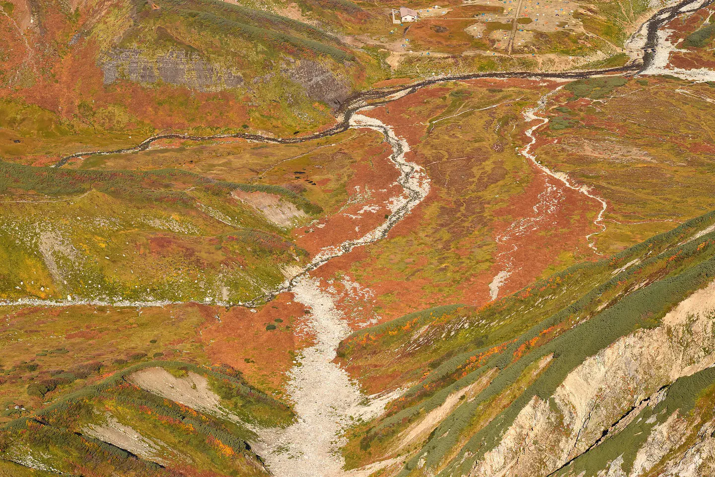 Paysage automnal de la route alpine Tateyama Kurobe