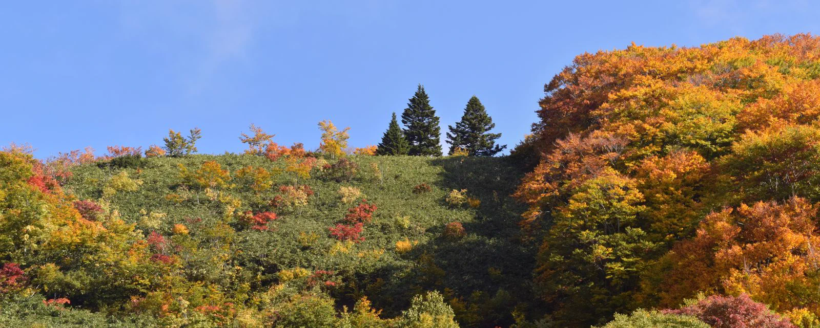 Tenue en couches pour l’automne au Japon