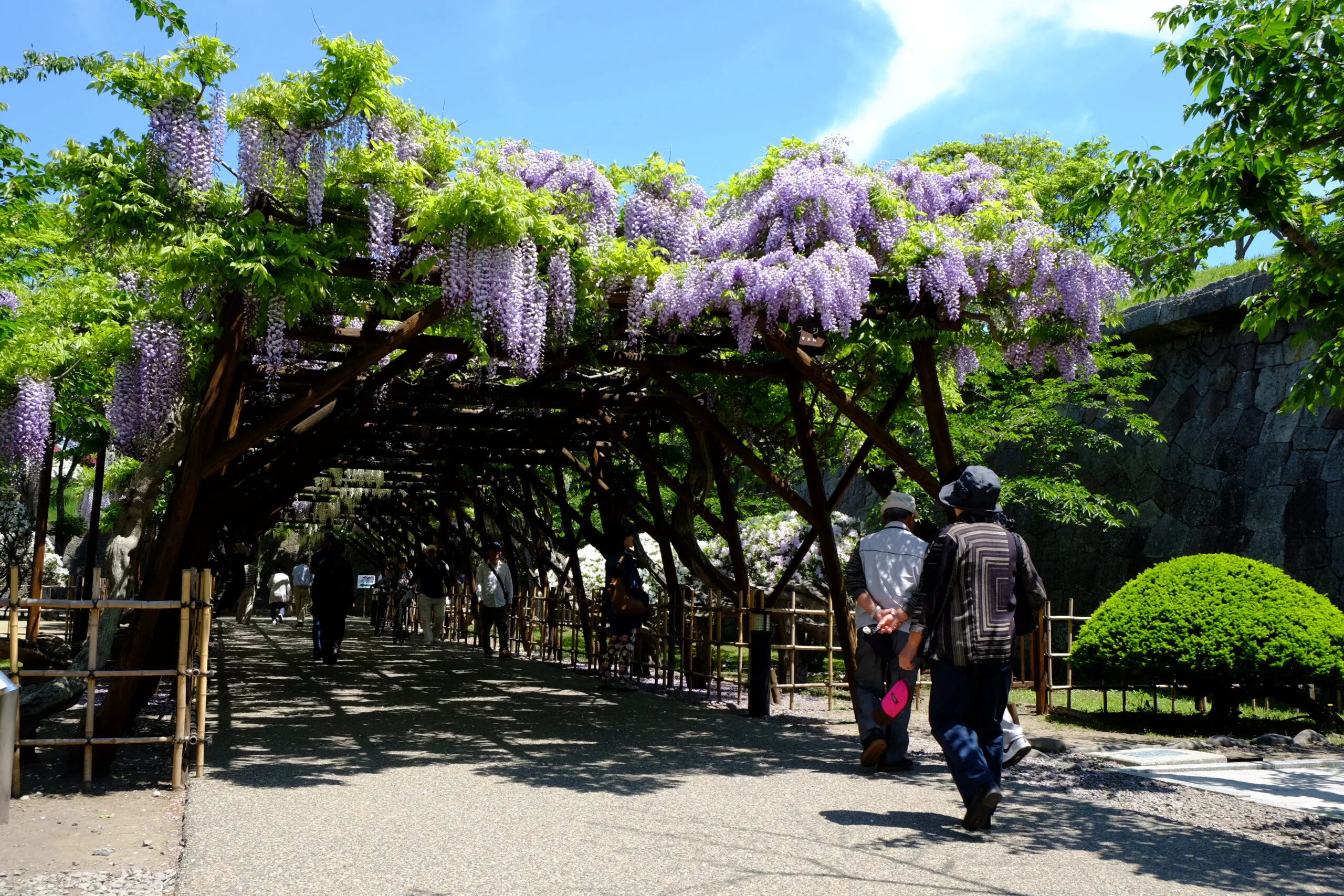 Douves, talus et chemin de promenade dans le parc de Goryōkaku à Hakodate