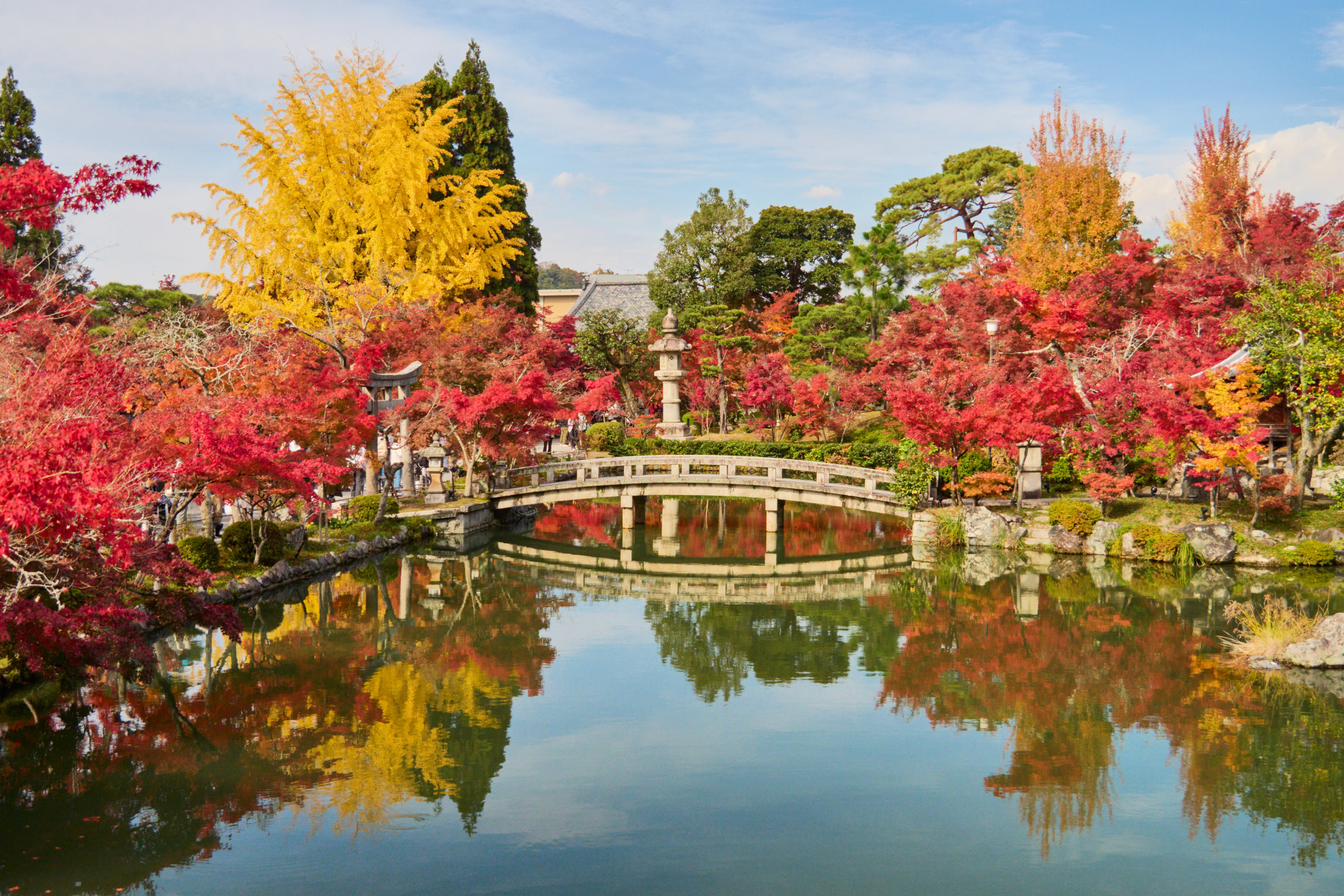 Feuilles rouges et jardin japonais sous un ciel couvert