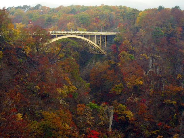 Paysage de la gorge de Naruko aux feuilles rouges et dorées