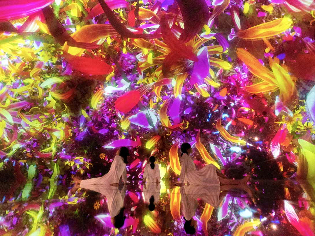 Œuvre florale immersive Floating in the Falling Universe of Flowers