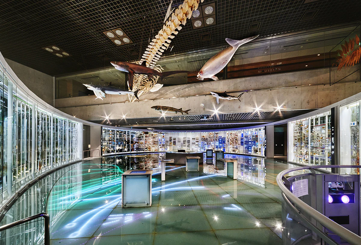 Global Gallery du Musée national de la Nature et des Sciences