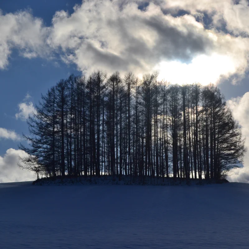 Association touristique de Furano, paysage photographique hivernal, illustrant un voyage d'hiver dans la région centrale avec un seul hébergement comme point de départ pour explorer les paysages enneigés.