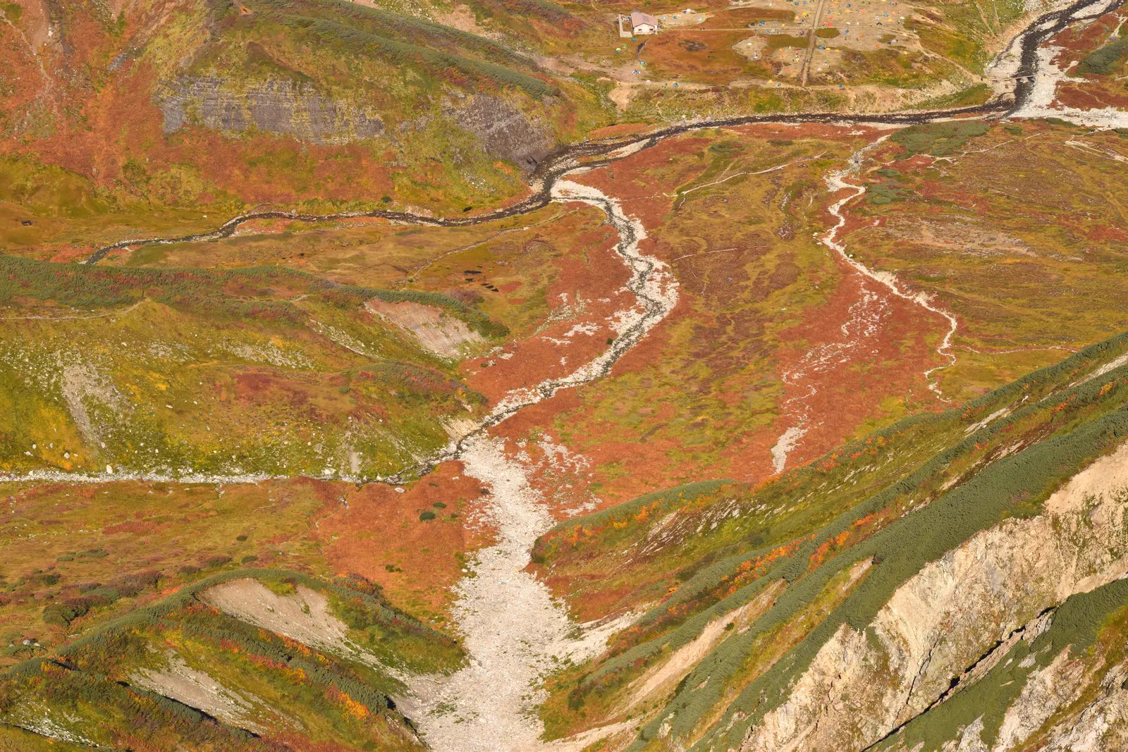 Où voir les feuilles d'érable au Japon en septembre ? Itinéraires pour Hokkaido, Takayama, Tateyama Kurobe et les feuillages d'herbes