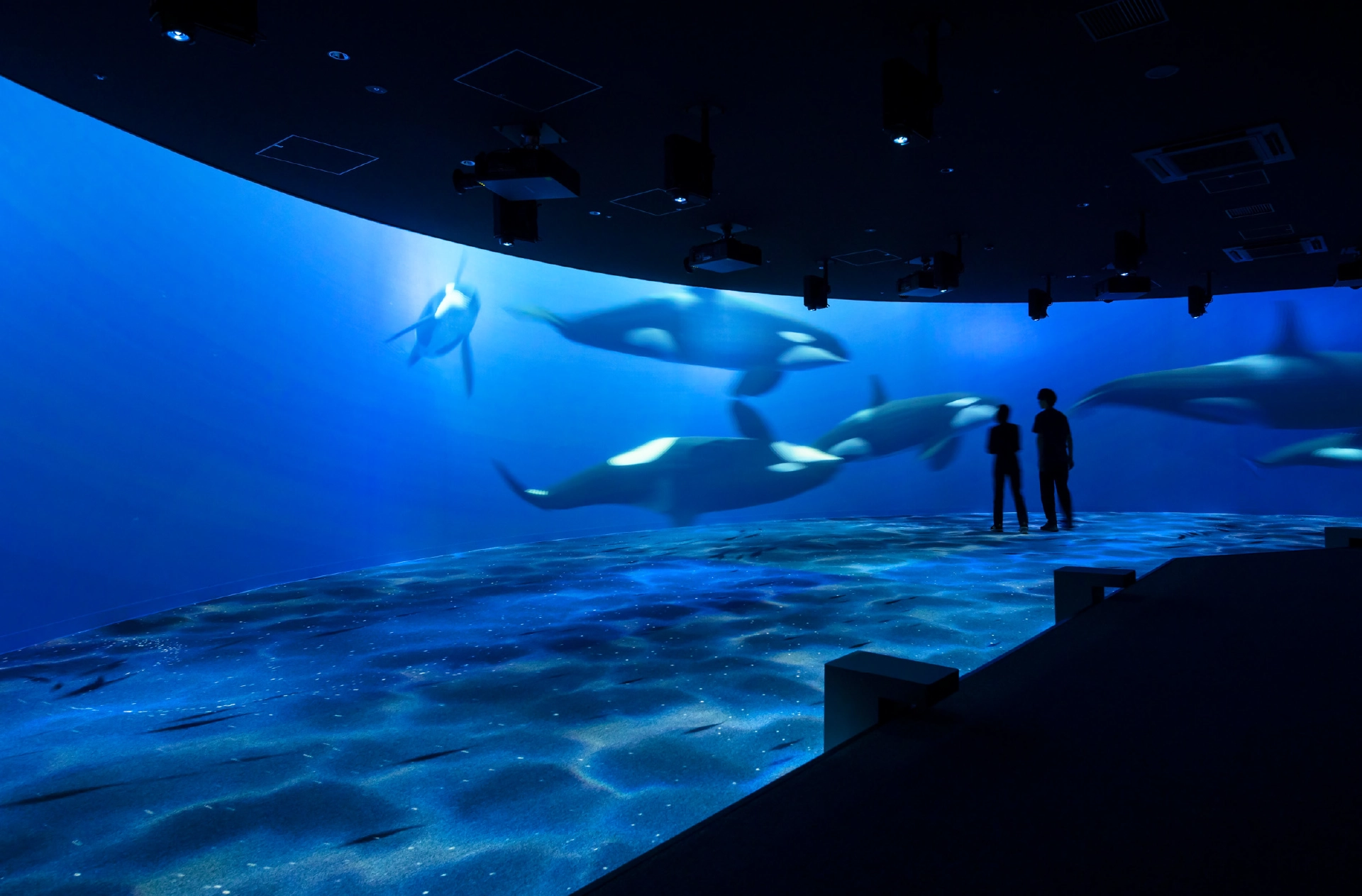 BLUE ROOM d’AOAO SAPPORO, espace numérique inspiré de la mer de Shiretoko