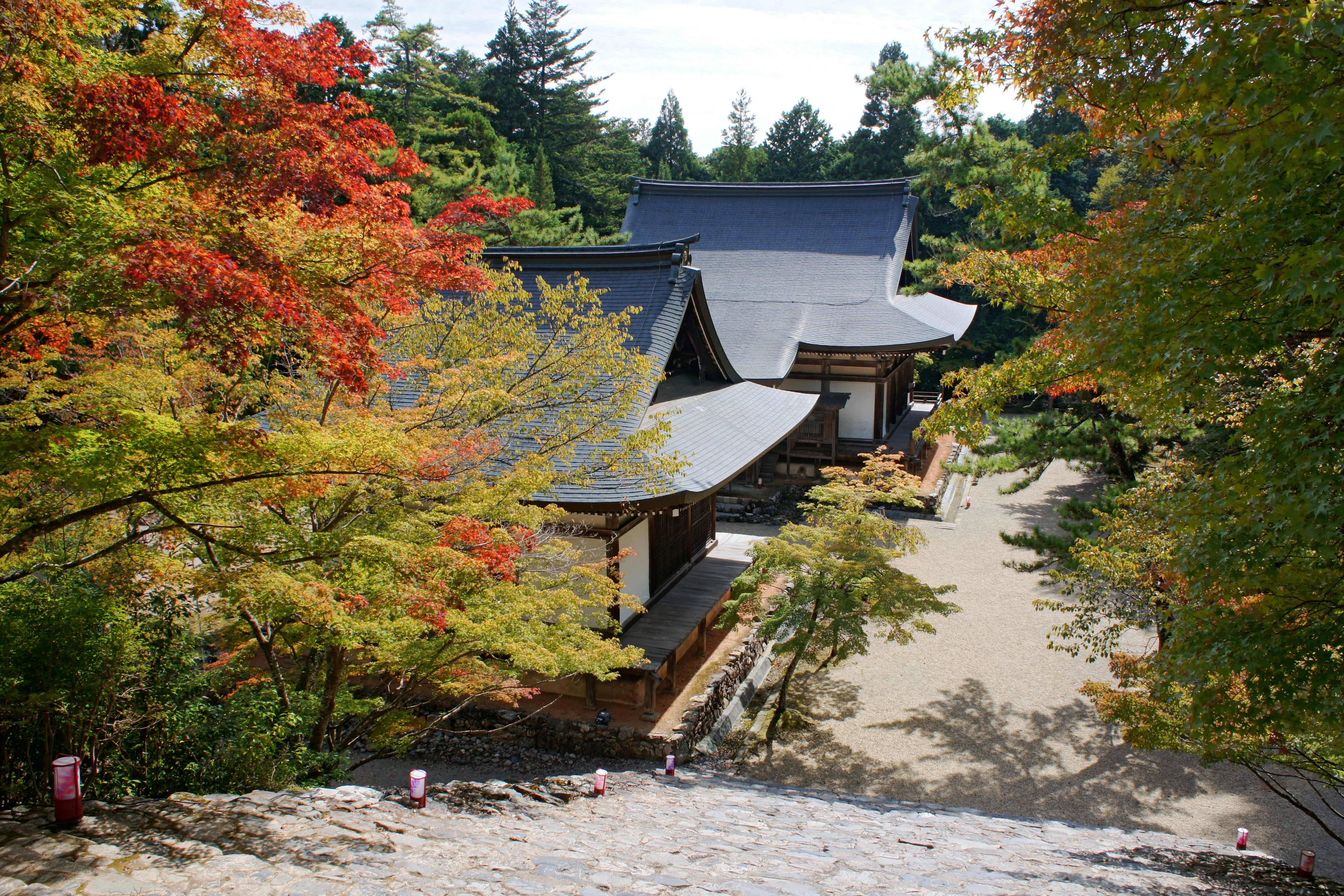 Feuillage d’automne à Jingo-ji, dans le secteur montagneux de Takao à Kyoto.