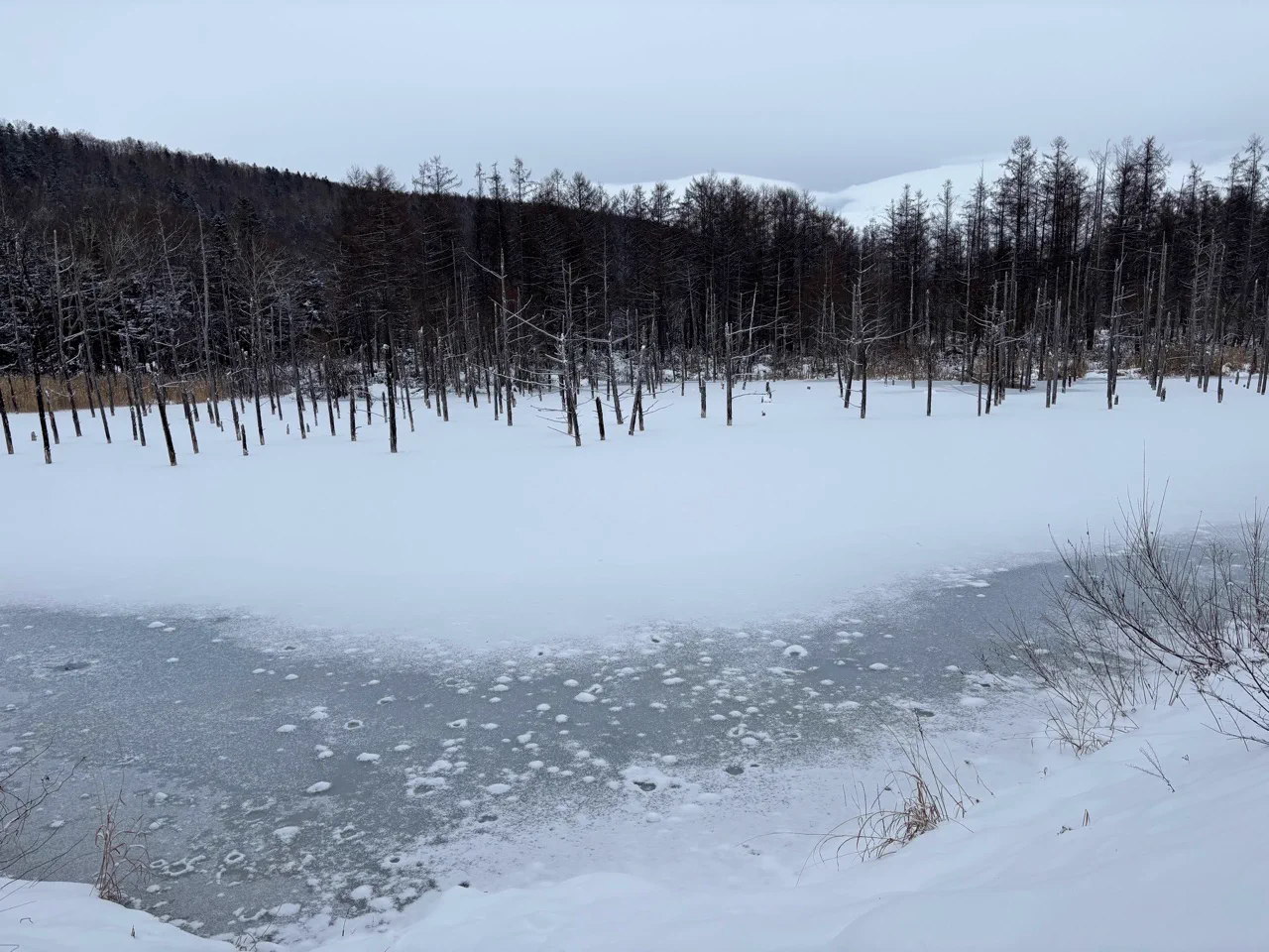 Blue Pond à Biei en hiver, lorsque la neige et la glace changent complètement l’expérience par rapport à l’été
