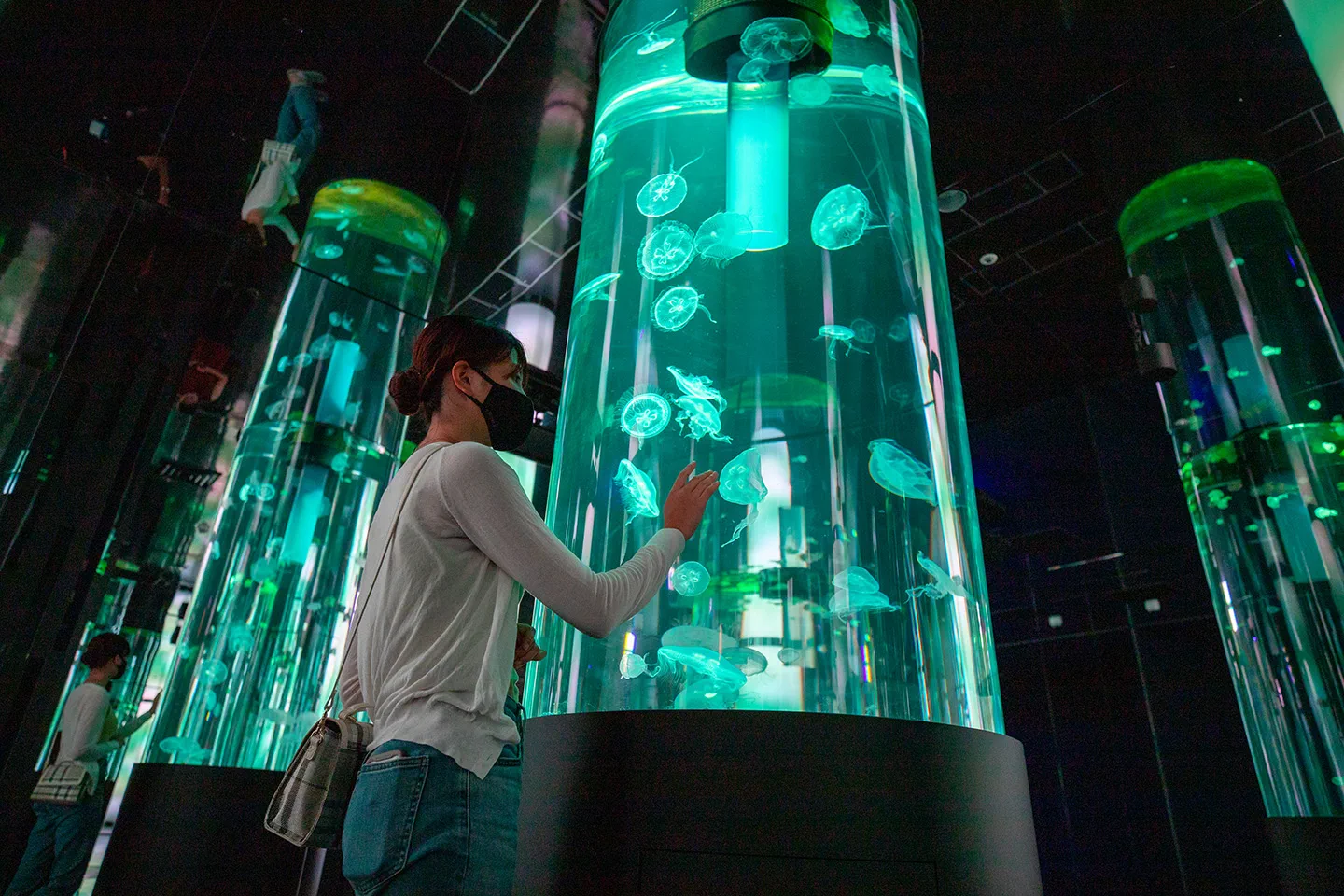 Zone des méduses au DMM Kariyushi Aquarium