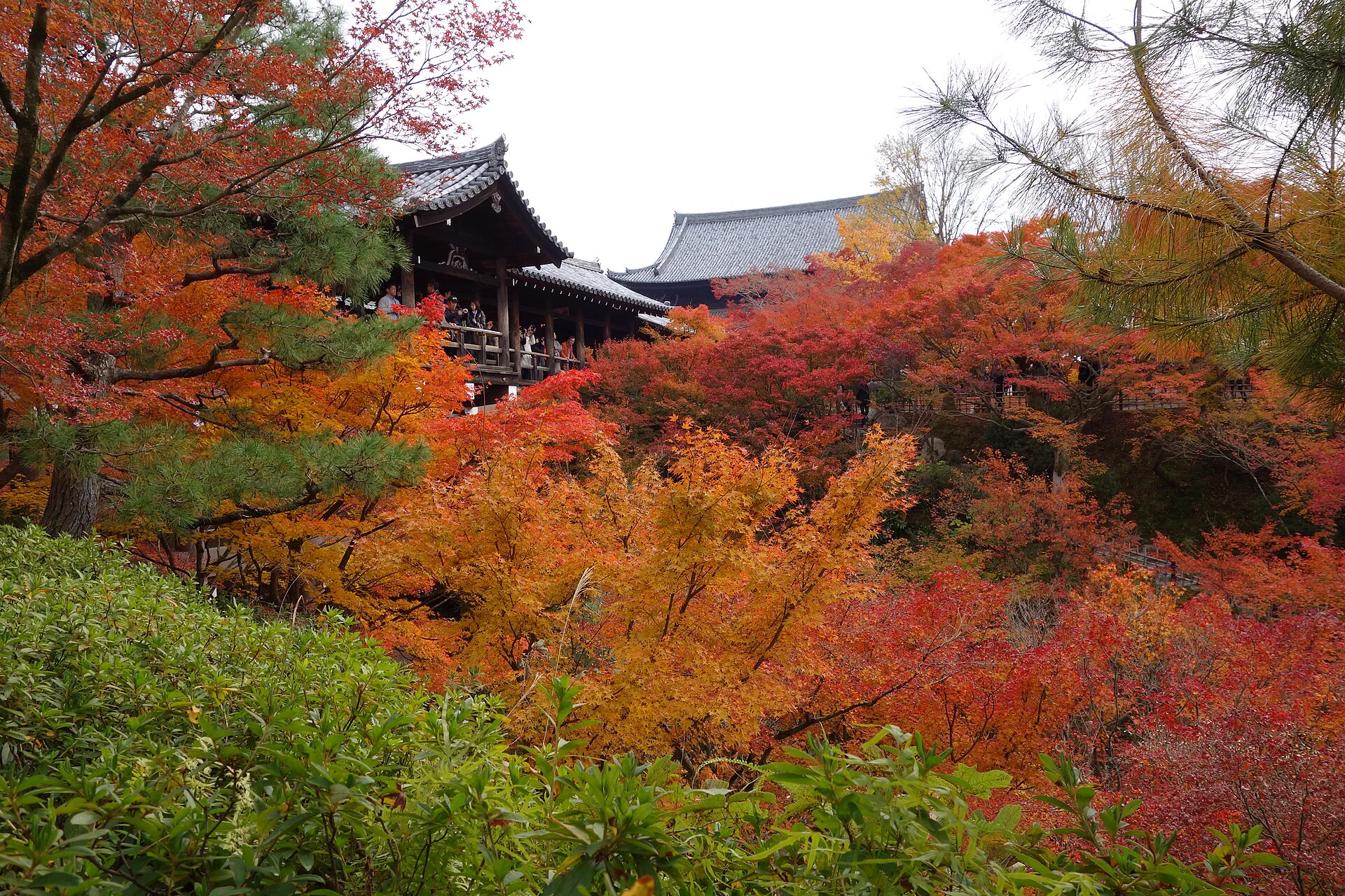 Érables du pont Tsūtenkyō à Tōfuku-ji et itinéraire de fin novembre à Kyoto