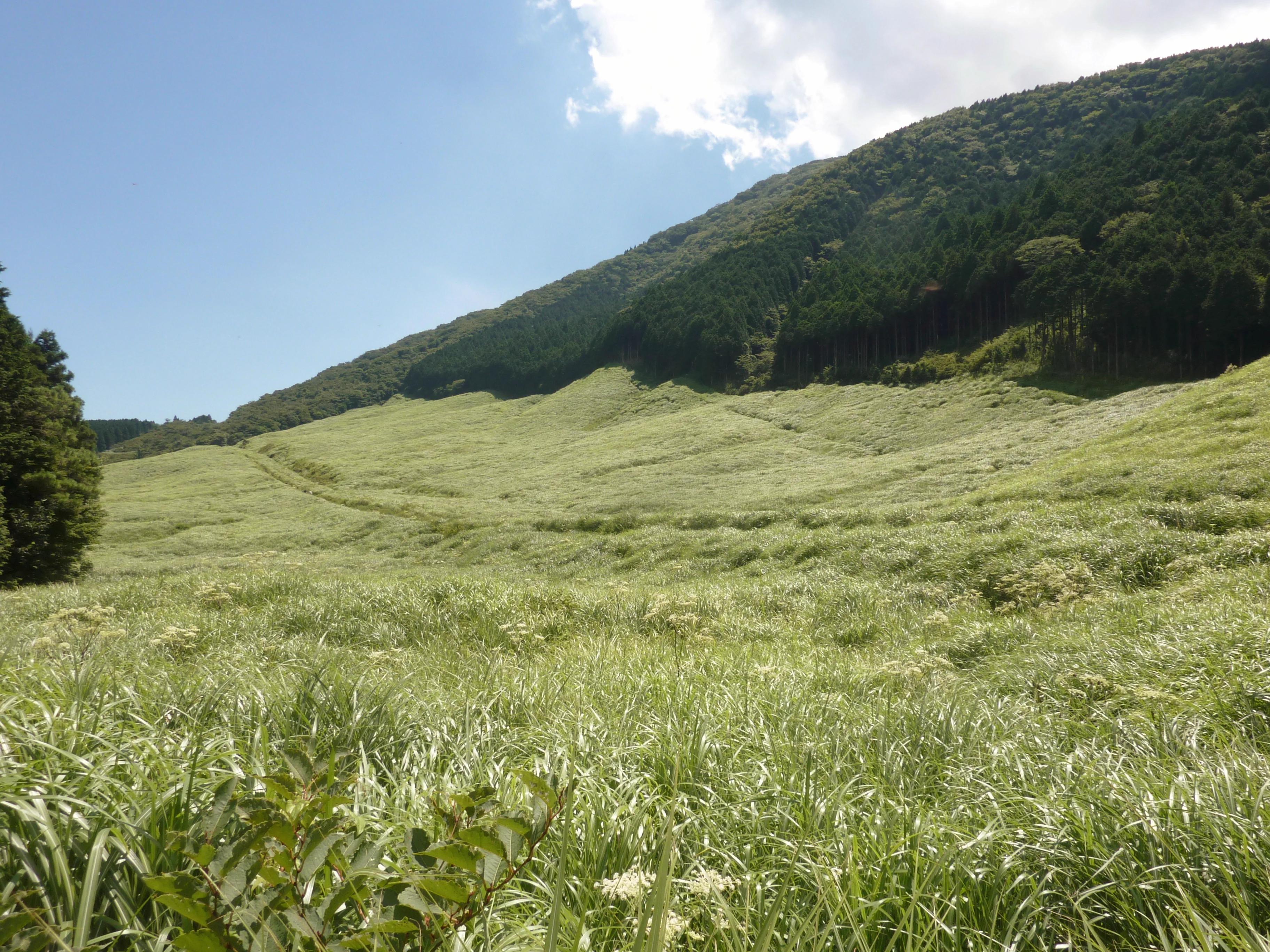 Sengokuhara à Hakone et choix de ryokan selon les transports