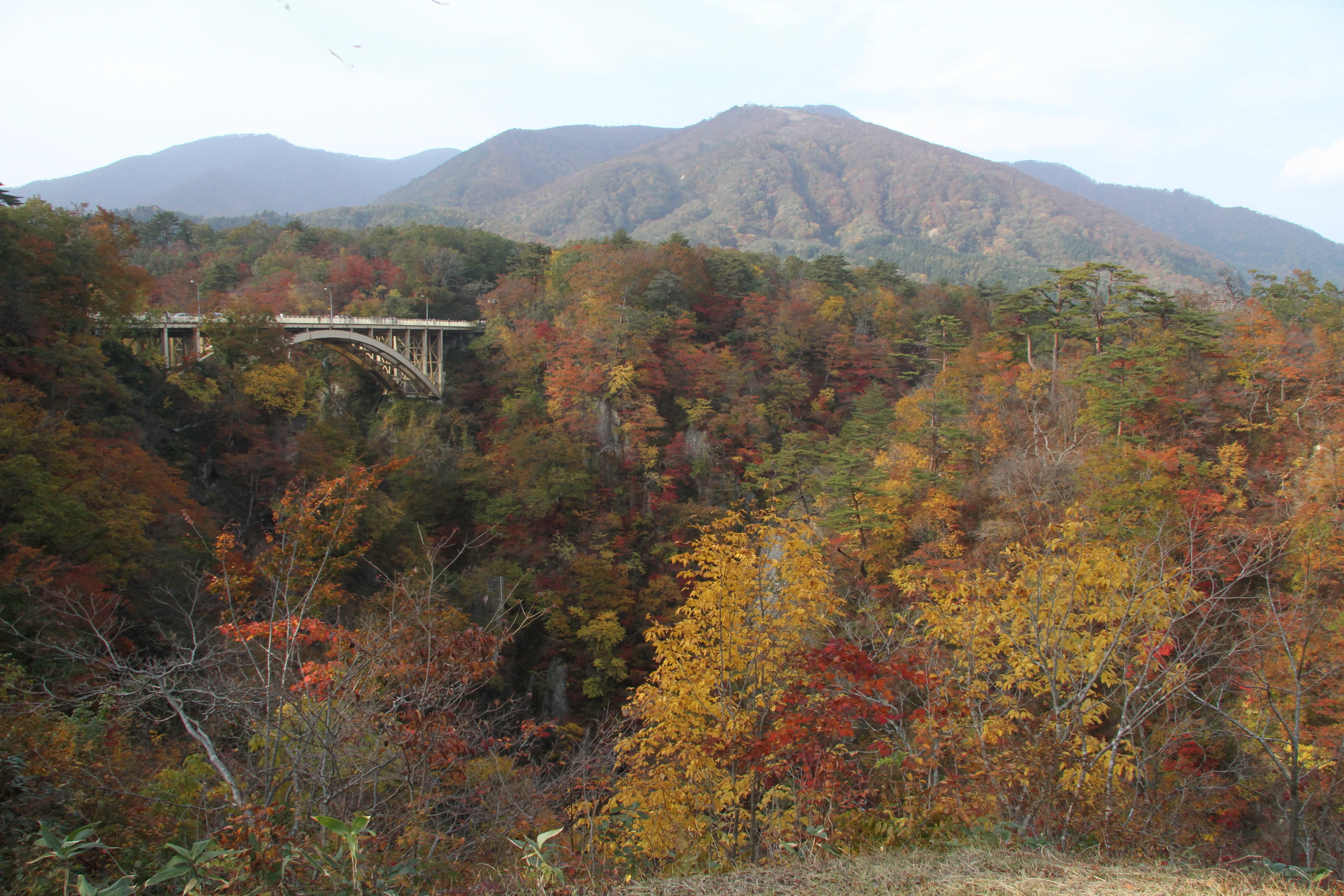 Feuillage d’automne dans la gorge de Naruko