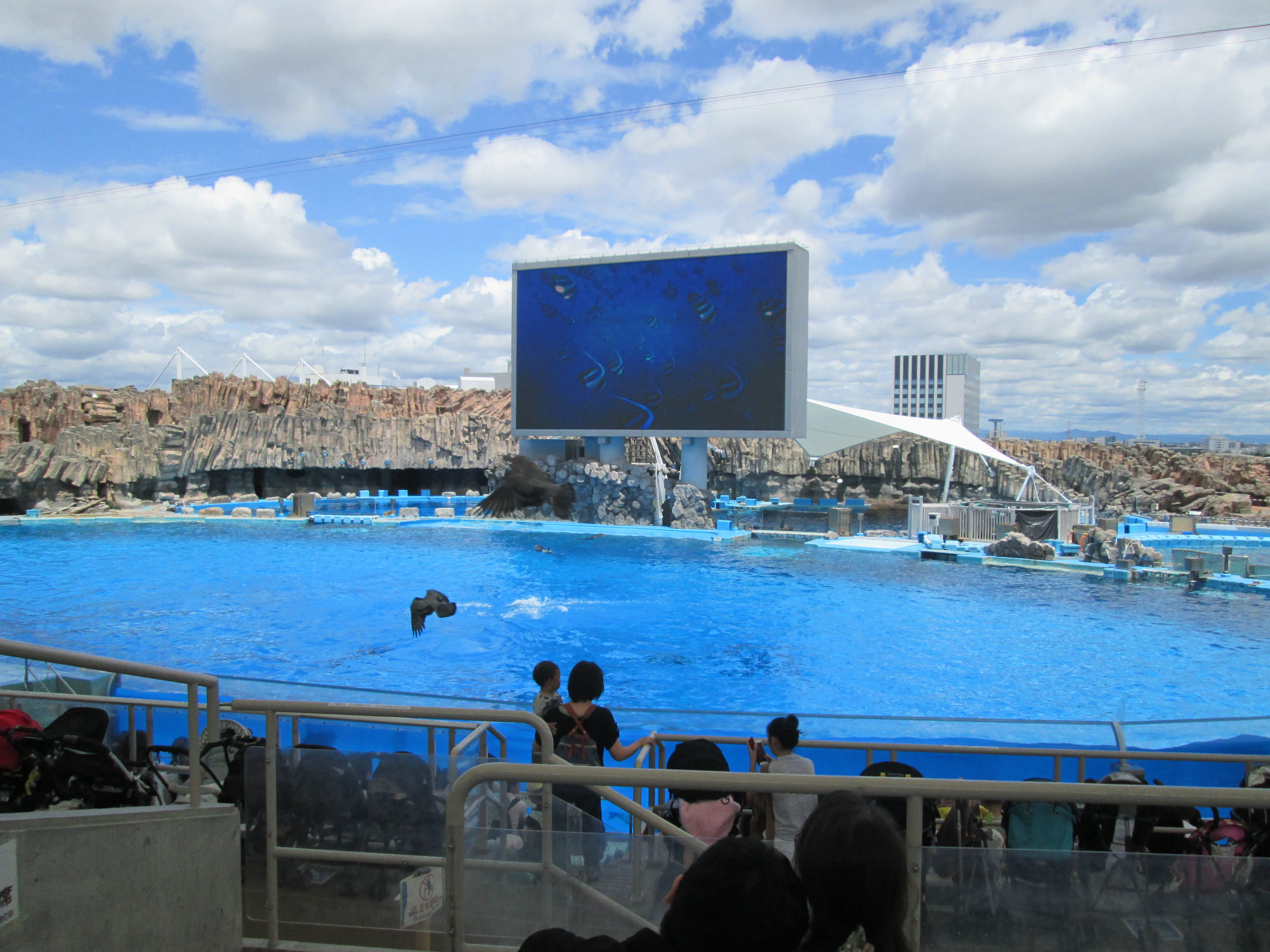 Stade de l’Aquarium du port de Nagoya pendant un spectacle de dauphins