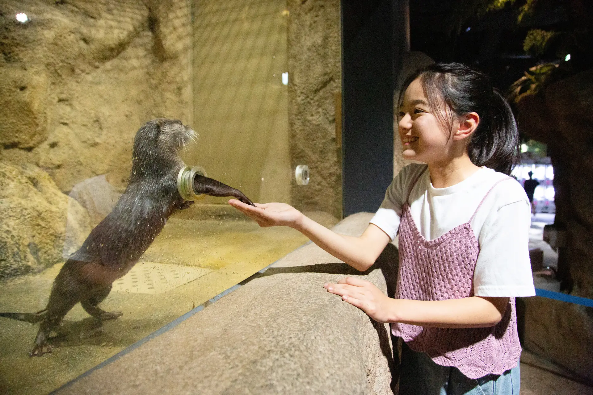 Interaction avec les loutres au DMM Kariyushi Aquarium