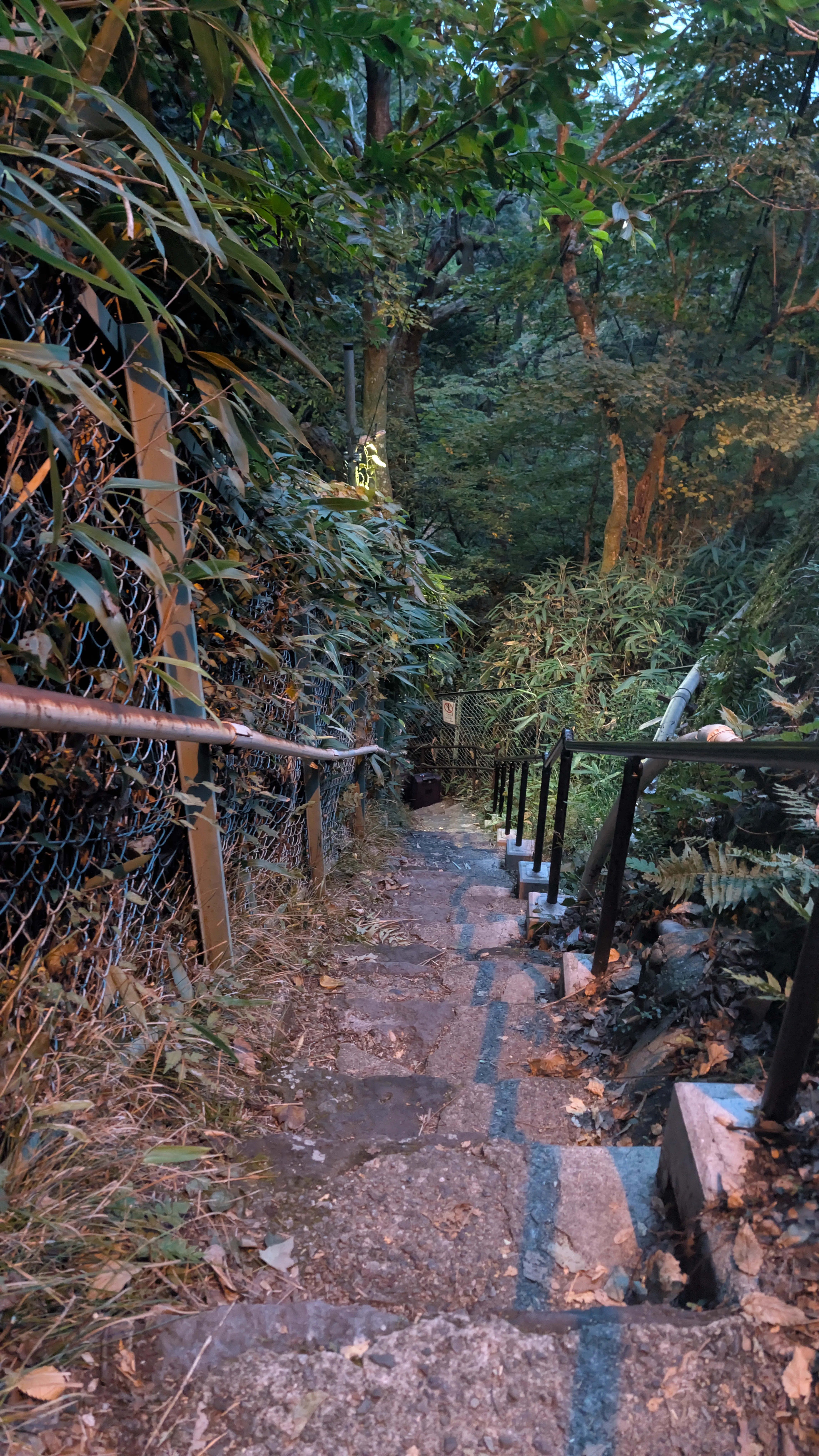 Paysage de Gora et bains privés de ryokan à Hakone