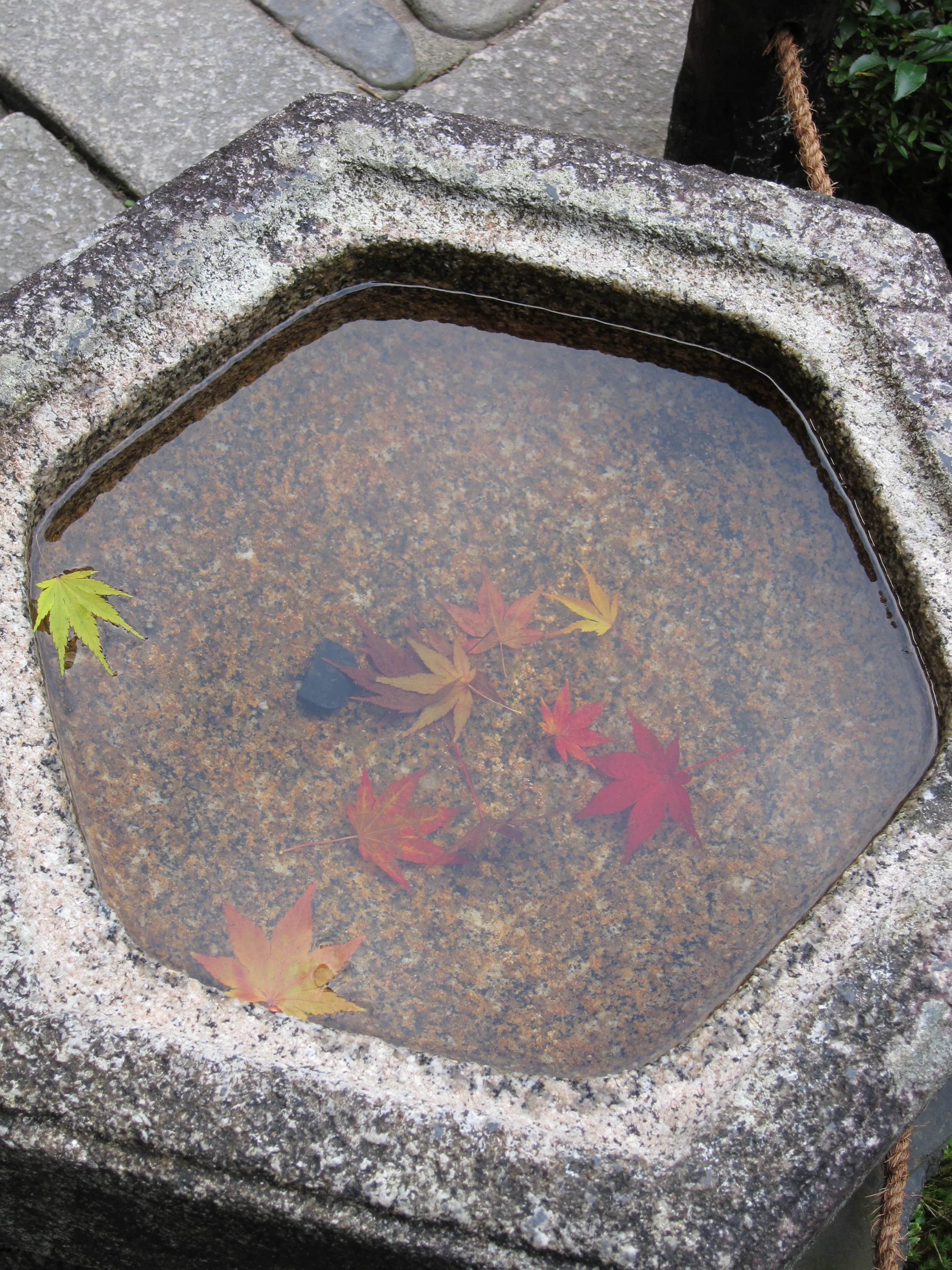 Feuillage d'automne à Tofuku-ji à Kyoto et options de villes du Kansai plus tardives