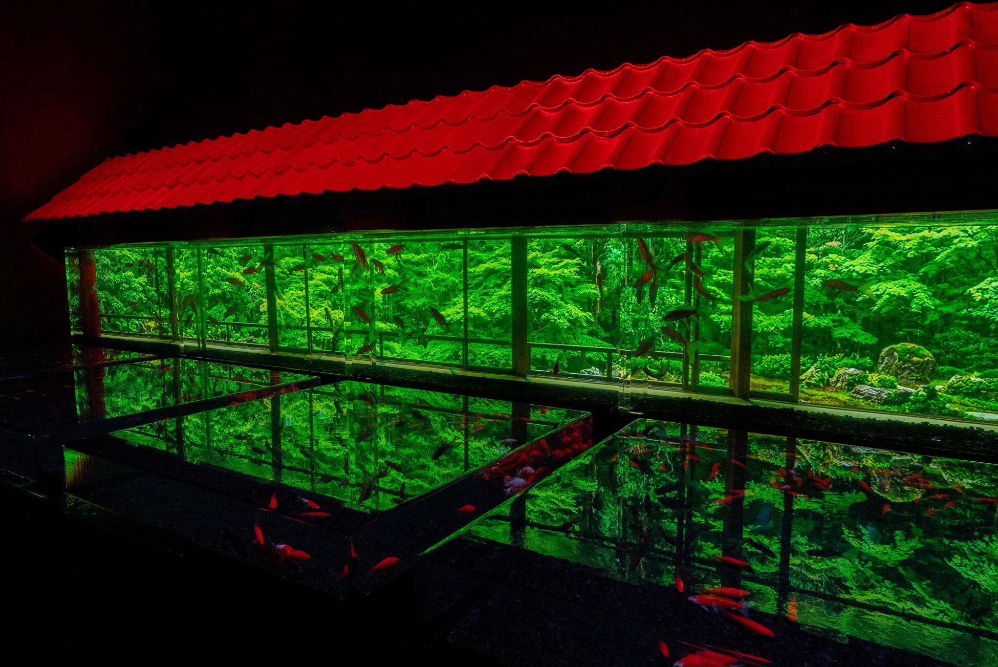 Œuvres de poissons rouges en miroir d’eau à Nagoya