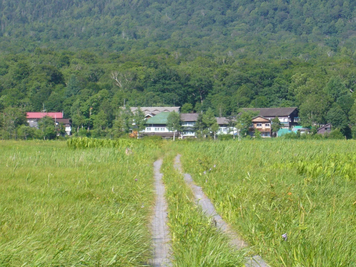 Hébergement en refuge de montagne | Guide de la zone humide de Yōsei | Quand partir pour voir les azalées d'eau, les carex et les feuilles rouges ? Photos du trajet depuis Tokyo et du ponton en bois