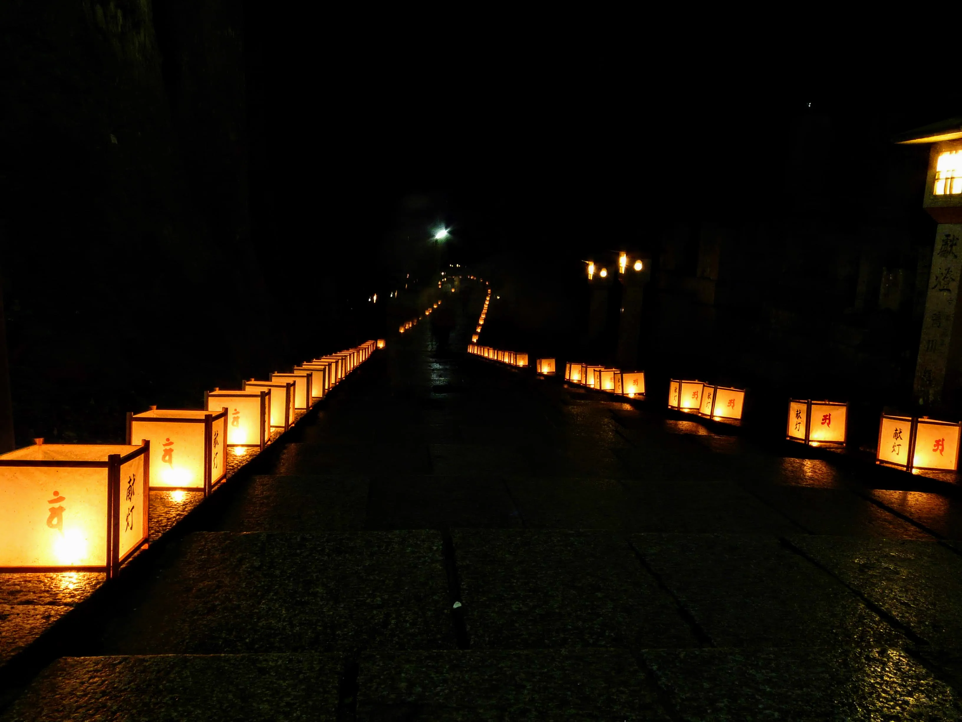 Sécurité lors de la promenade dans la forêt de cèdres et la visite nocturne à Okuno-in