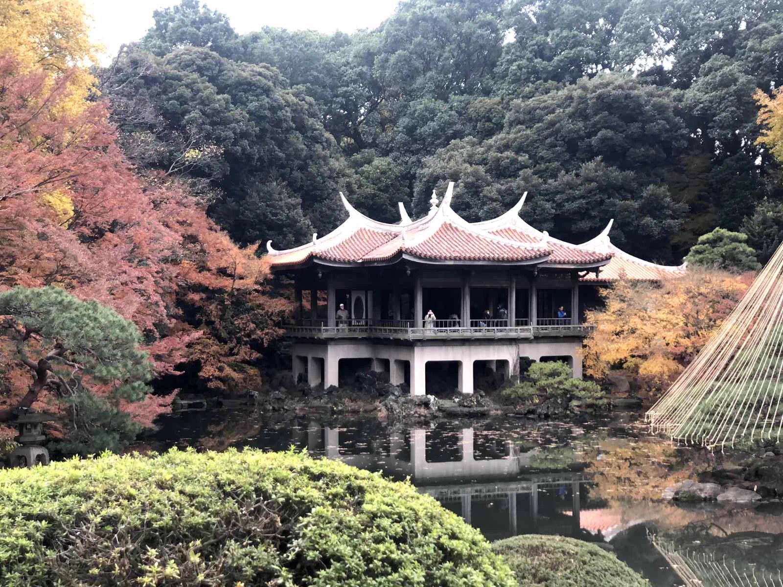 Feuillage d’automne dans les allées de Shinjuku Gyoen