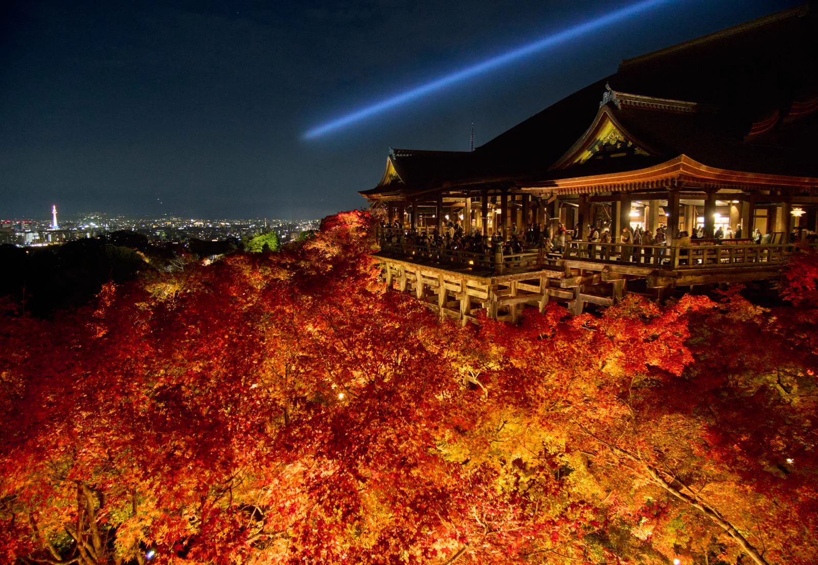 Kiyomizu-dera à Kyoto en automne, avec ses feuillages rouges et ses vues nocturnes, représentant la période tardive des érables à Kyoto fin novembre.