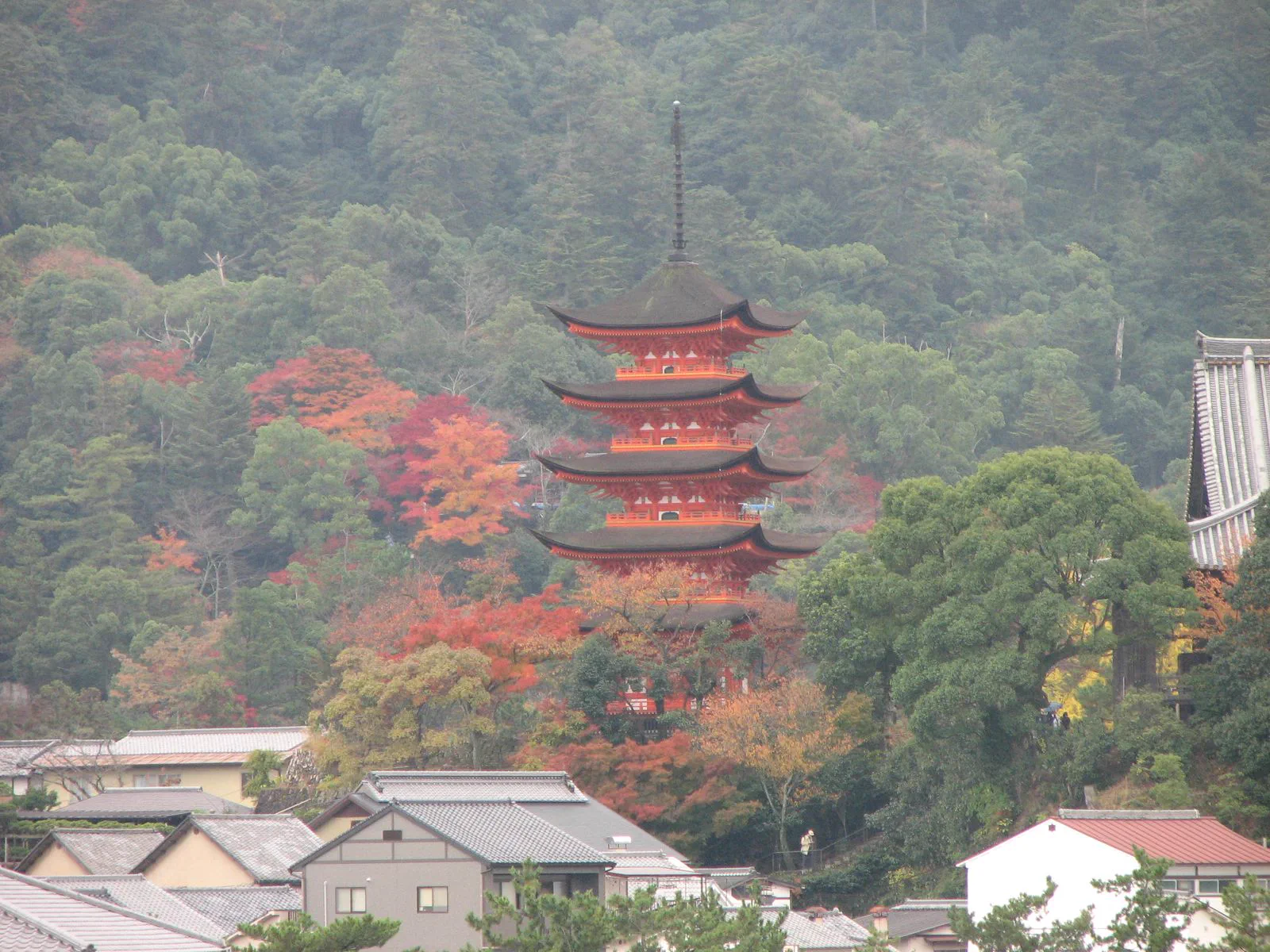 Automne à Miyajima pour une extension vers l’ouest du Kansai