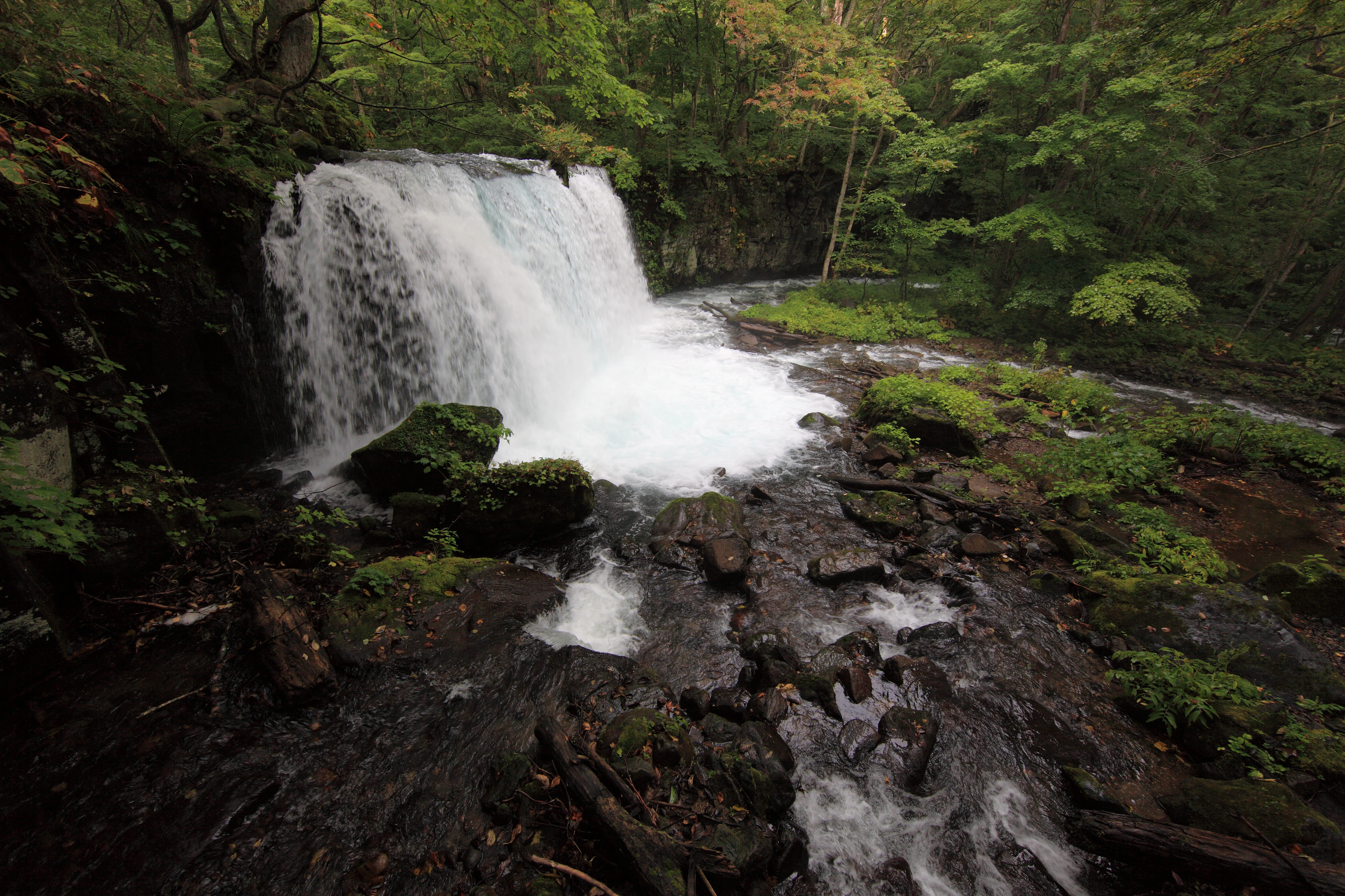 Cascade et feuillages d’automne dans la gorge d’Oirase