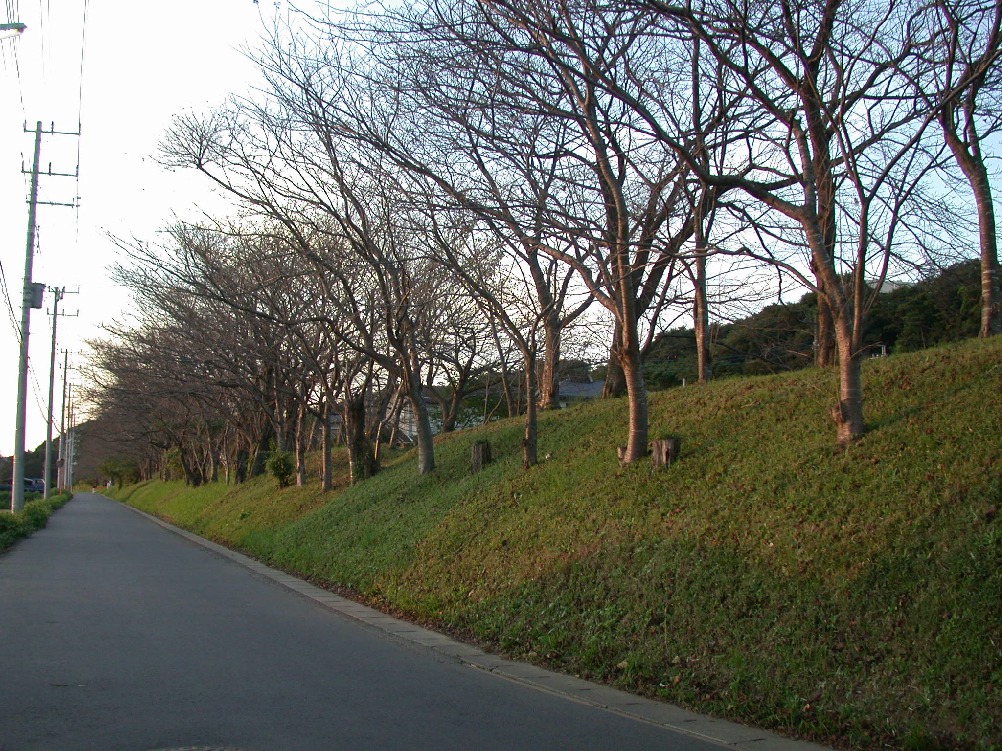 Parc historique du château de Sakura
