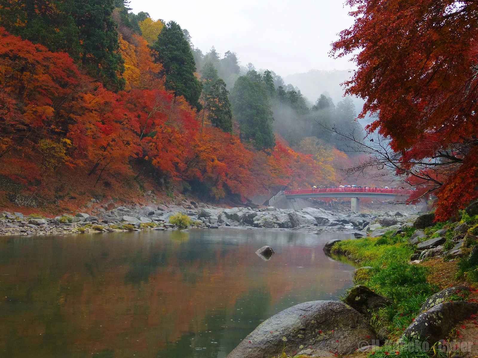 Vallée de Korankei, environs du pont Taigetsu et feuillages d’automne